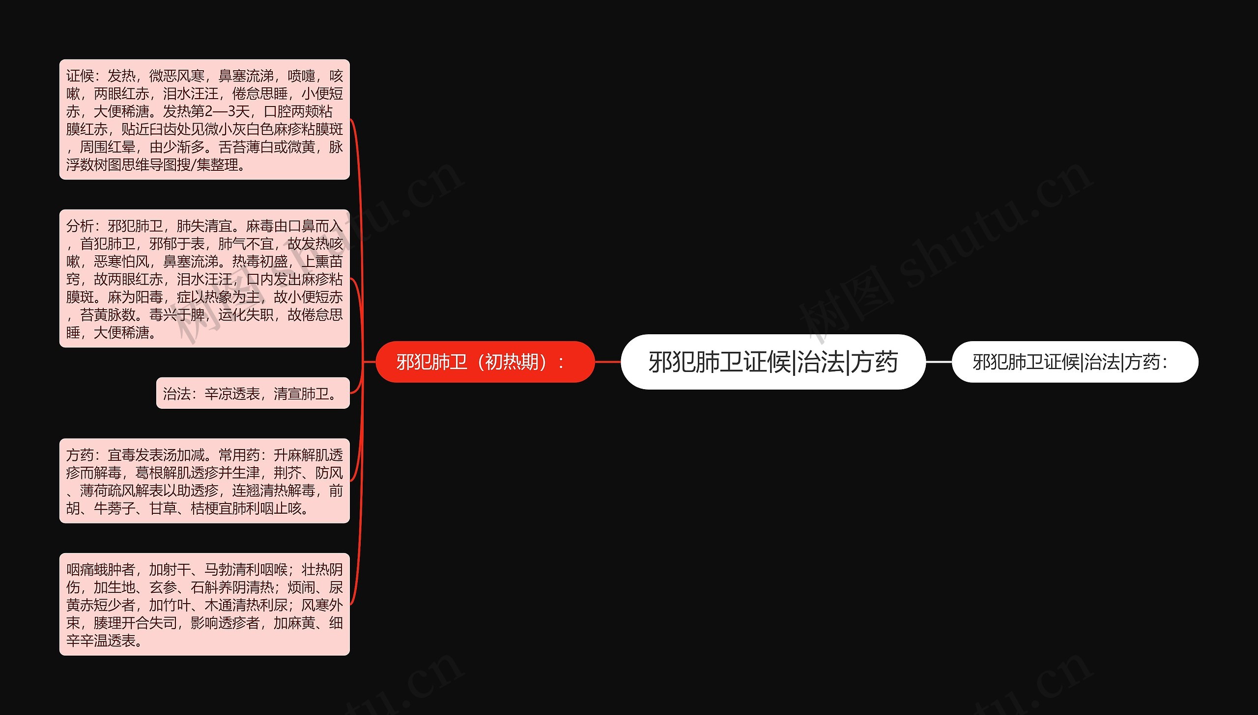 邪犯肺卫证候|治法|方药思维导图