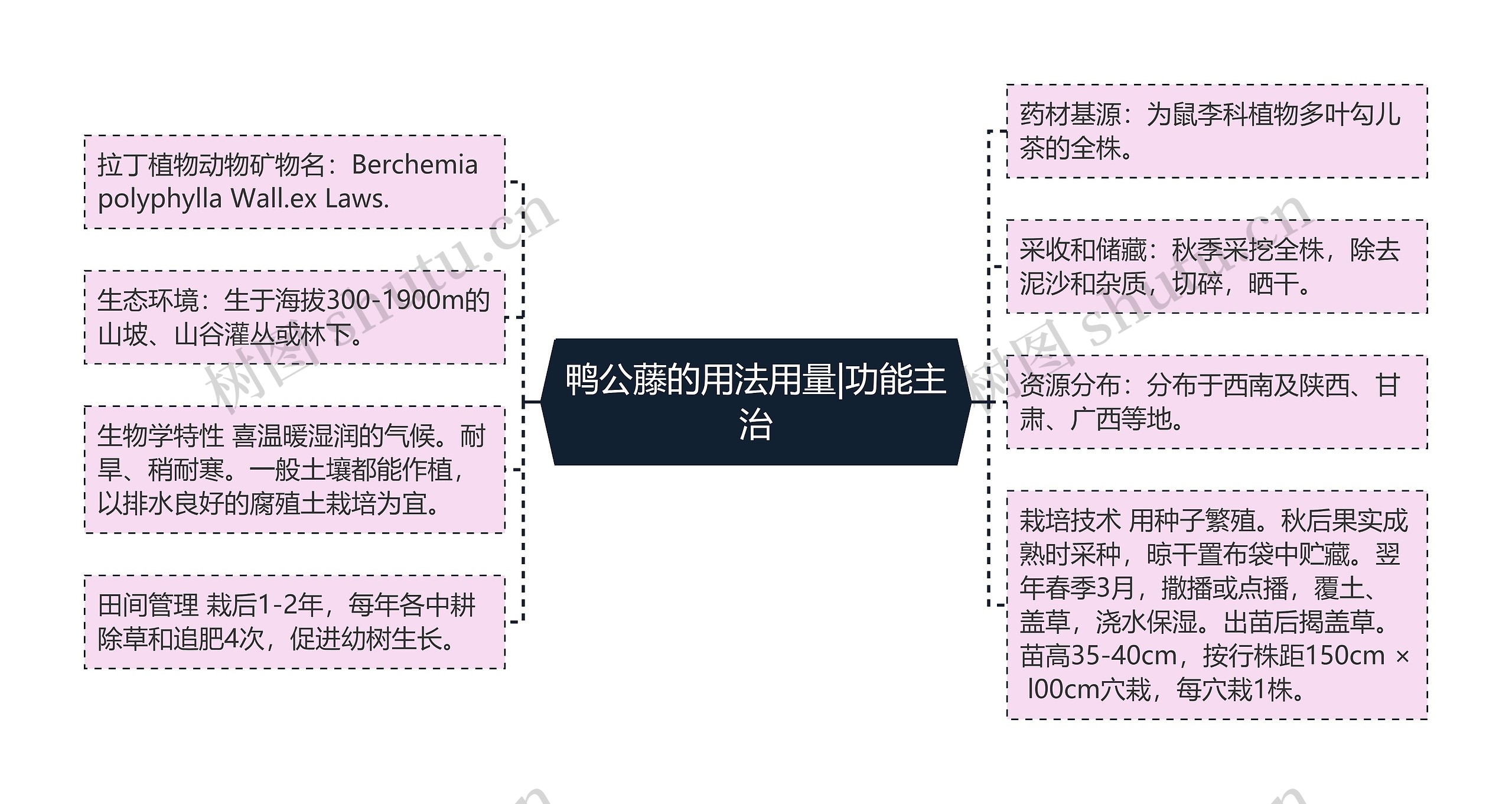 鸭公藤的用法用量|功能主治思维导图