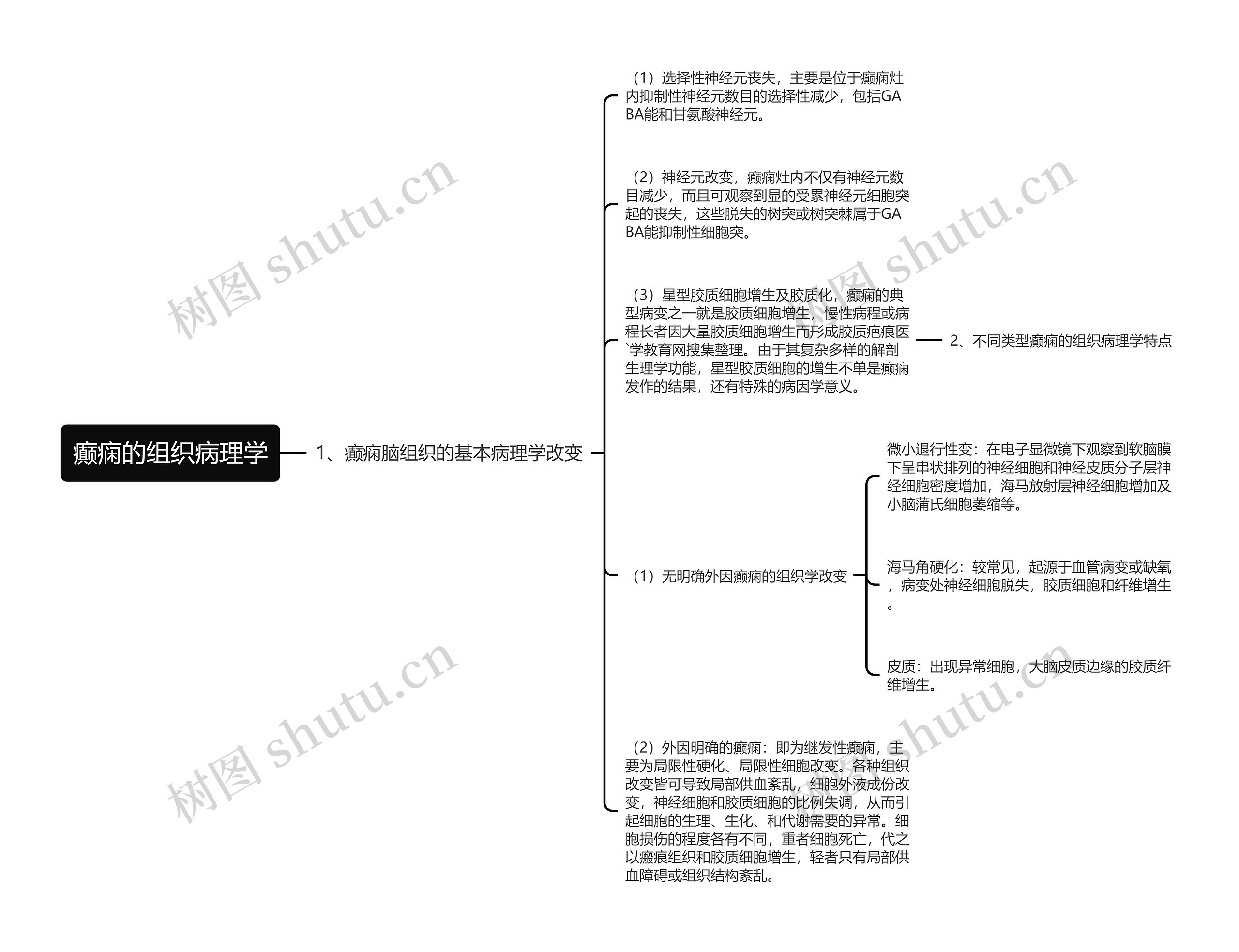 癫痫的组织病理学思维导图