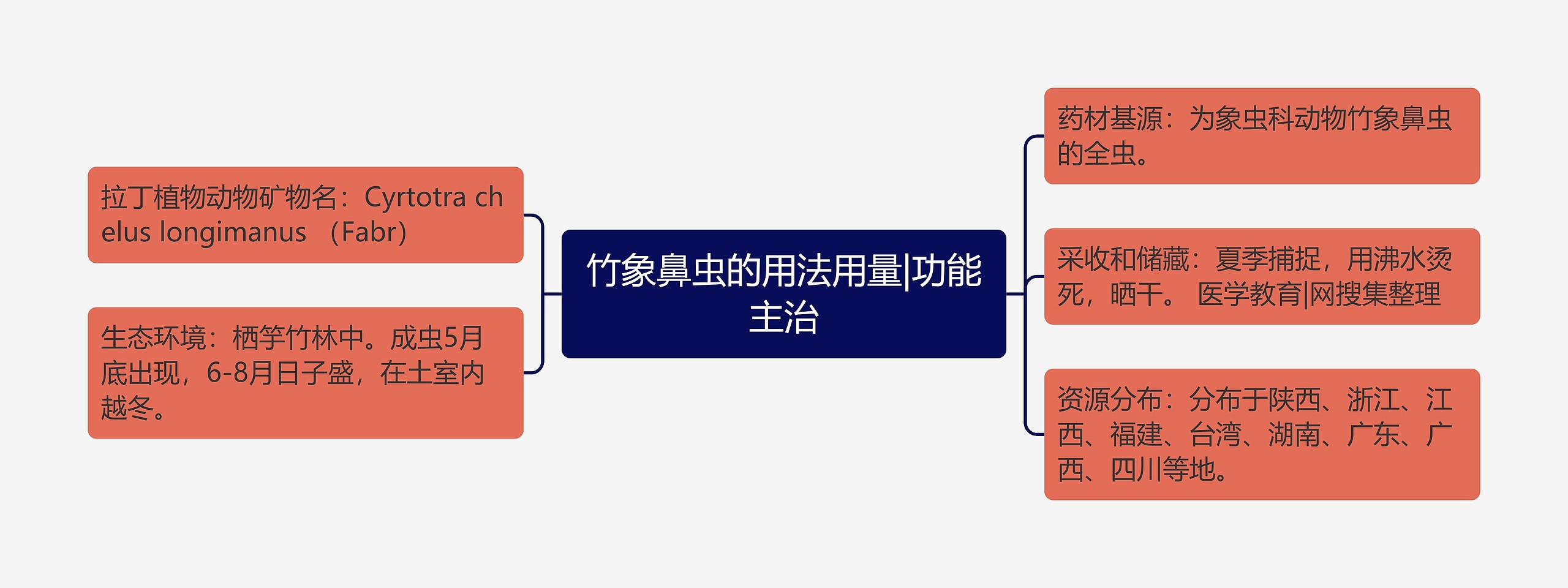 竹象鼻虫的用法用量|功能主治思维导图