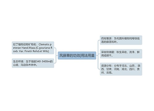 风藤草的功效|用法用量