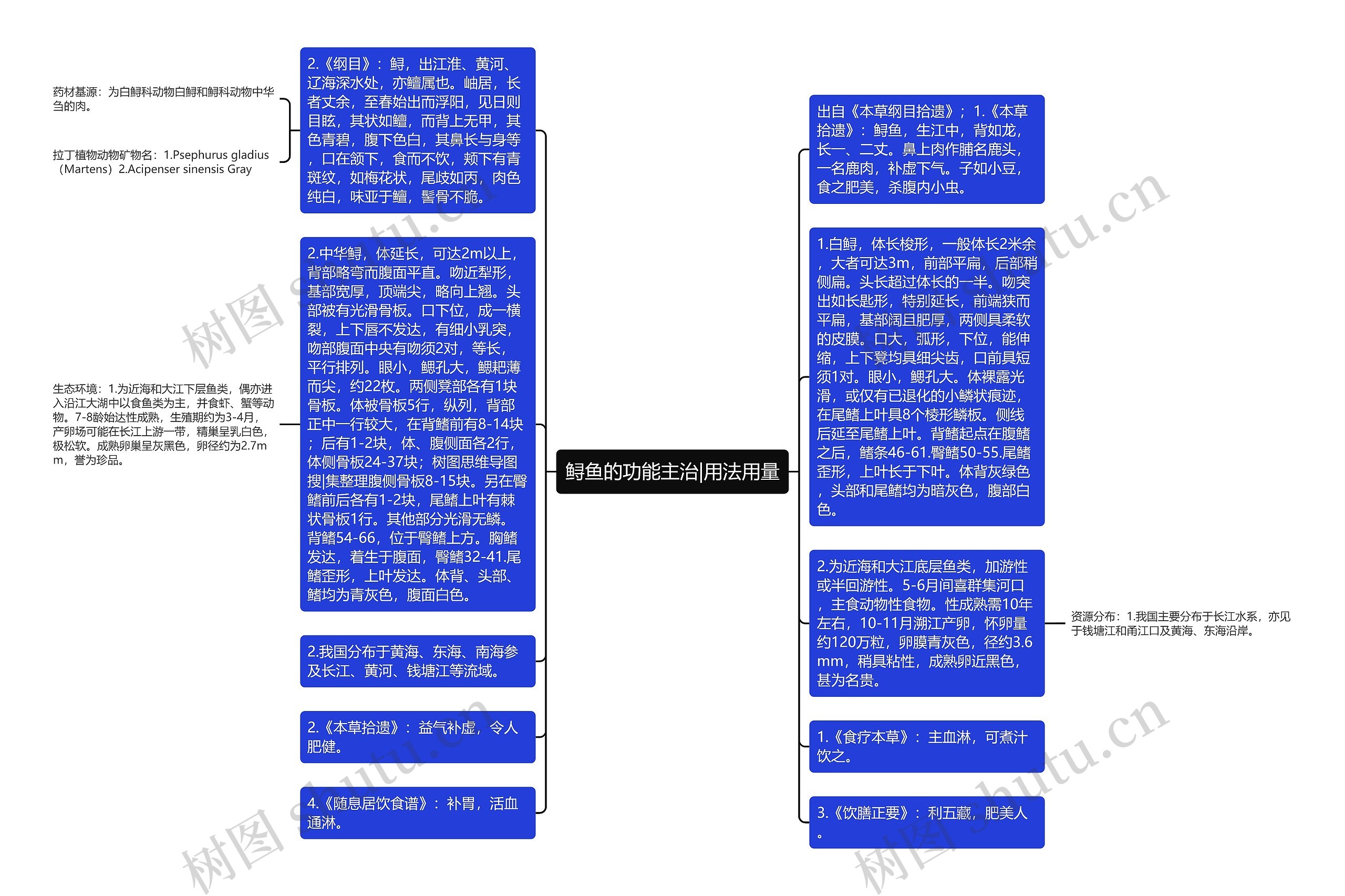 鲟鱼的功能主治|用法用量