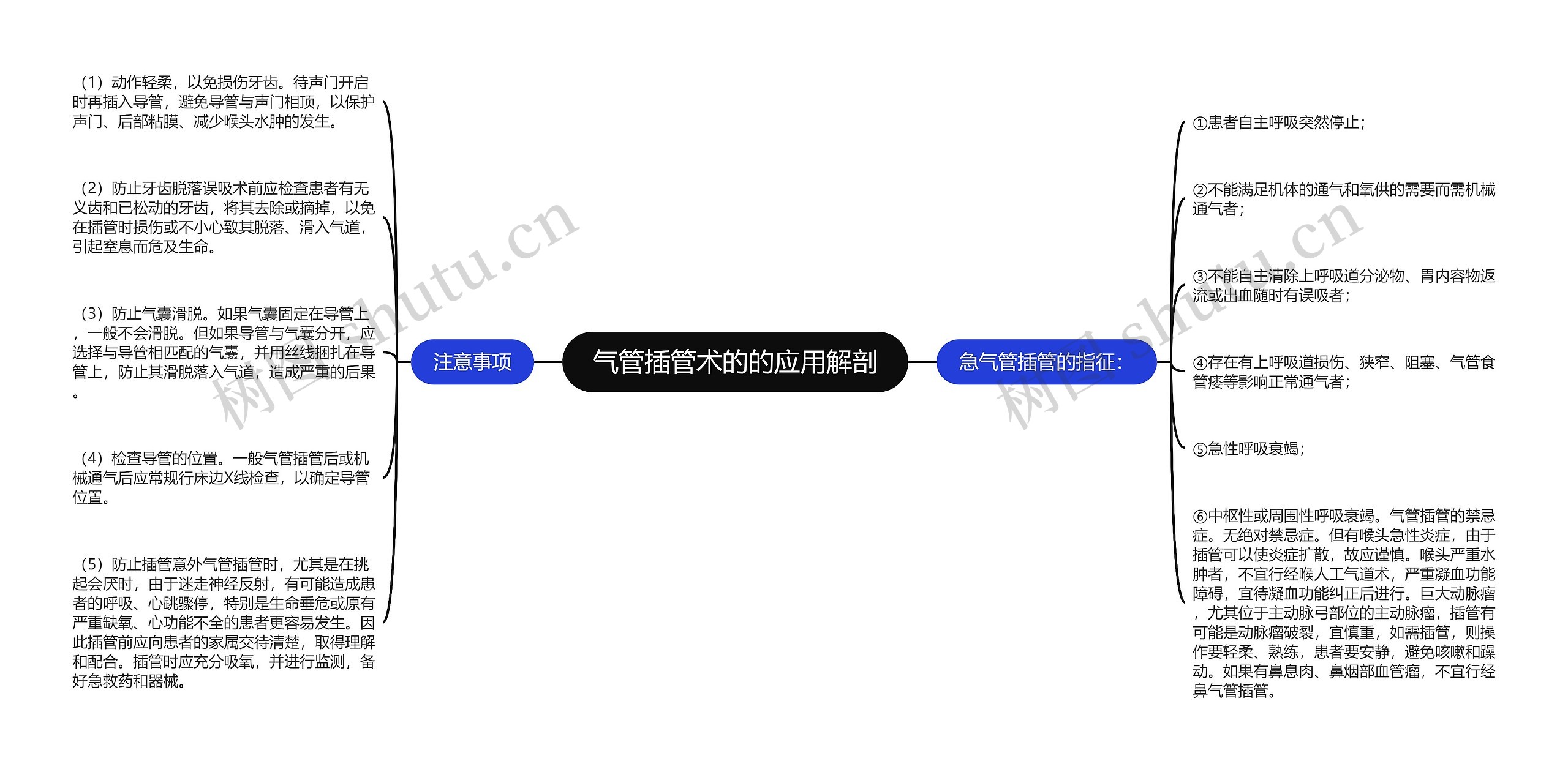 气管插管术的的应用解剖 气管插管术的的应用解剖