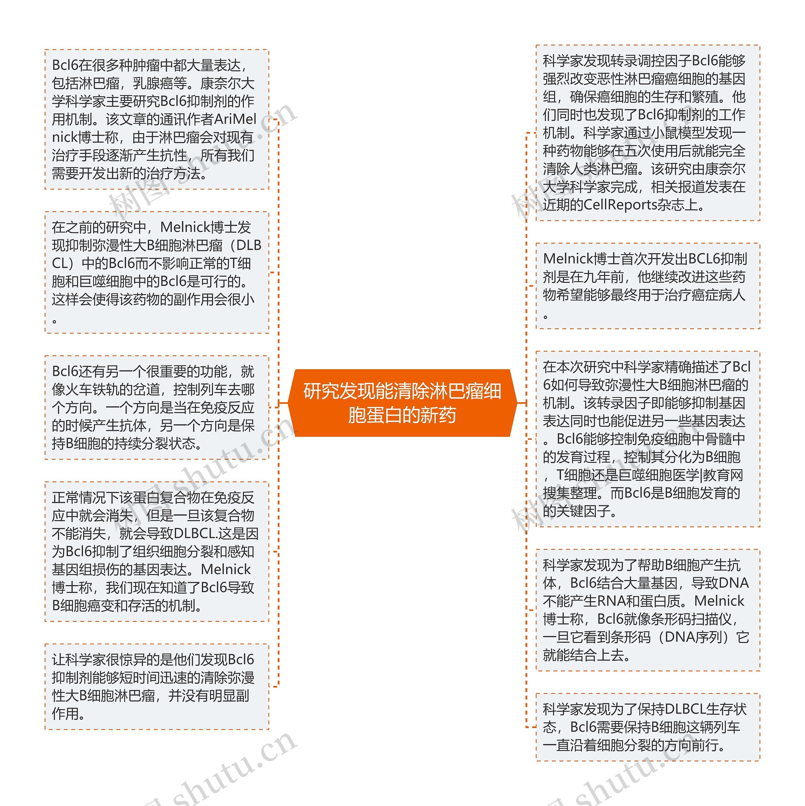 研究发现能清除淋巴瘤细胞蛋白的新药