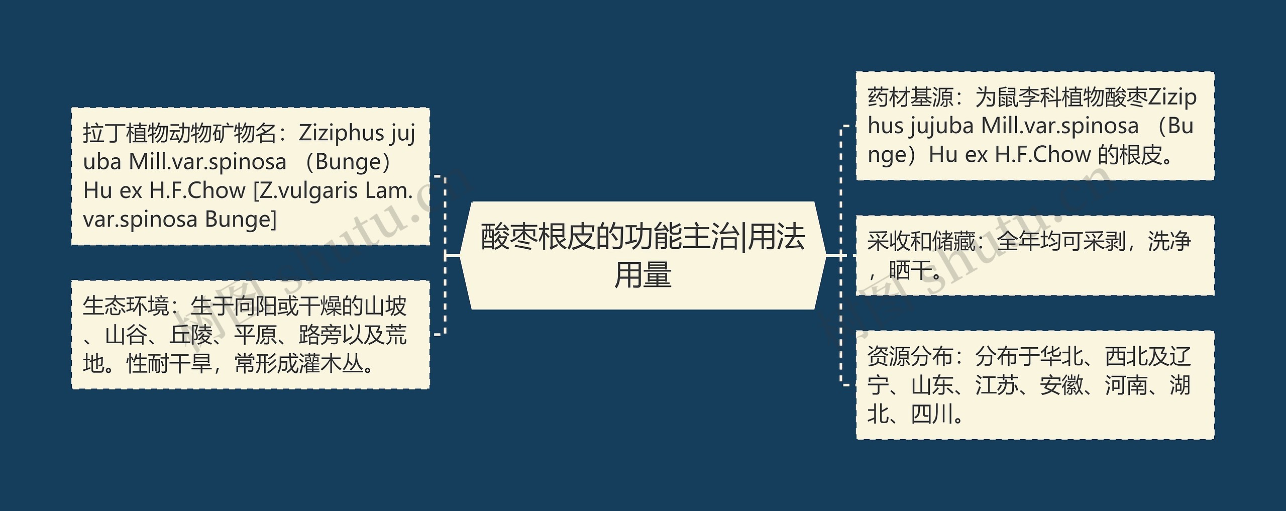 酸枣根皮的功能主治|用法用量思维导图