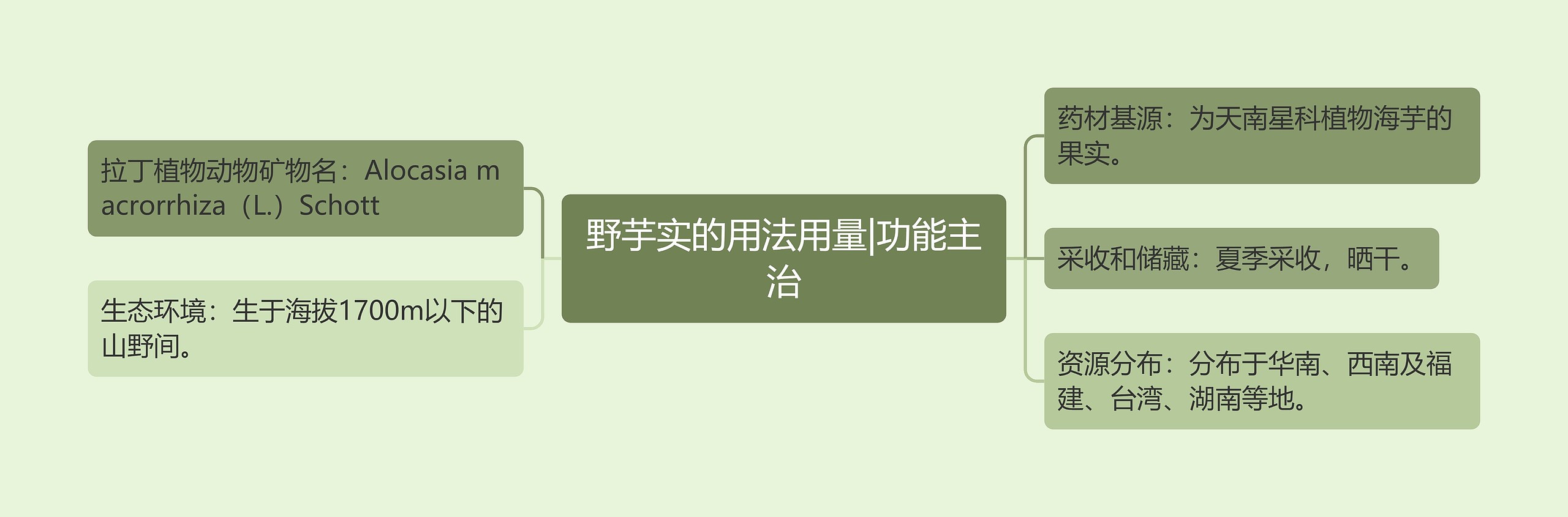 野芋实的用法用量|功能主治思维导图