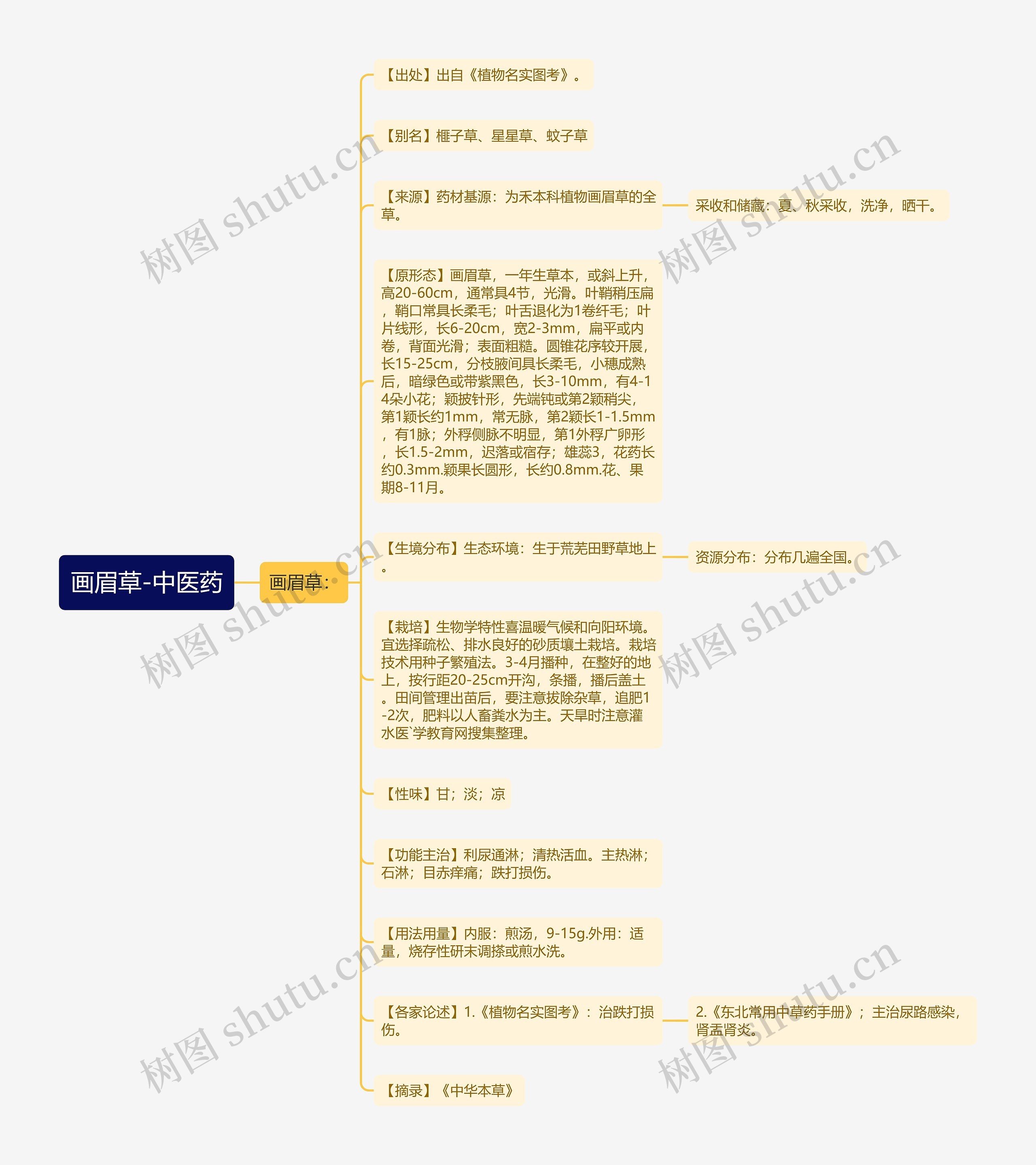 画眉草-中医药思维导图