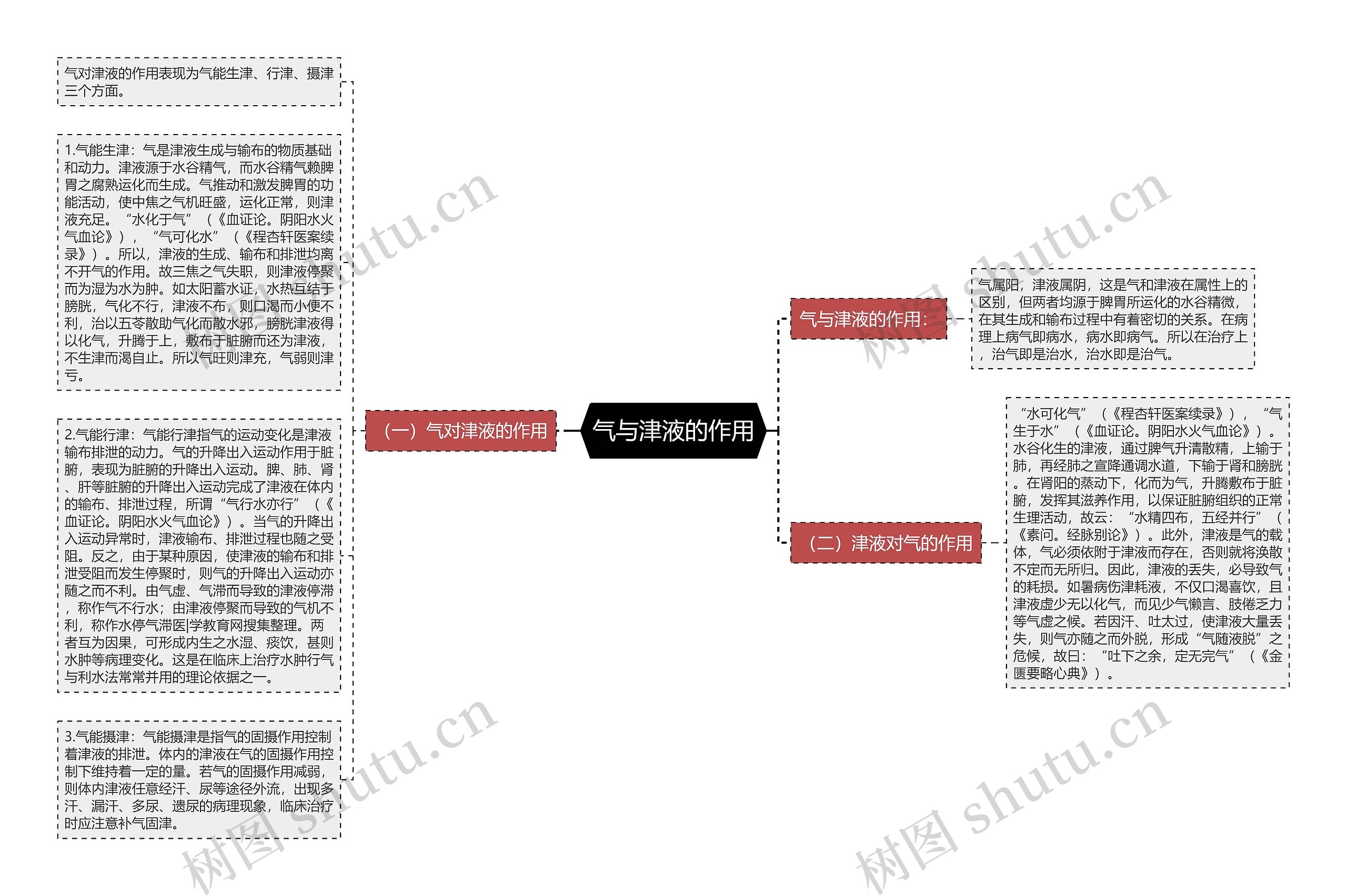 气与津液的作用思维导图