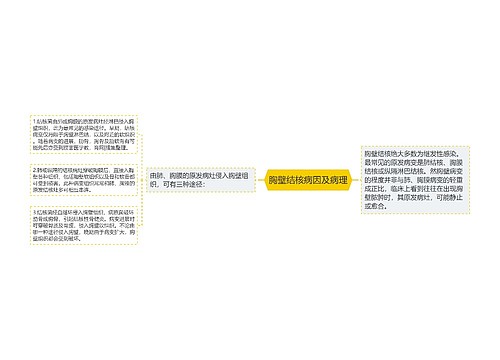 胸壁结核病因及病理