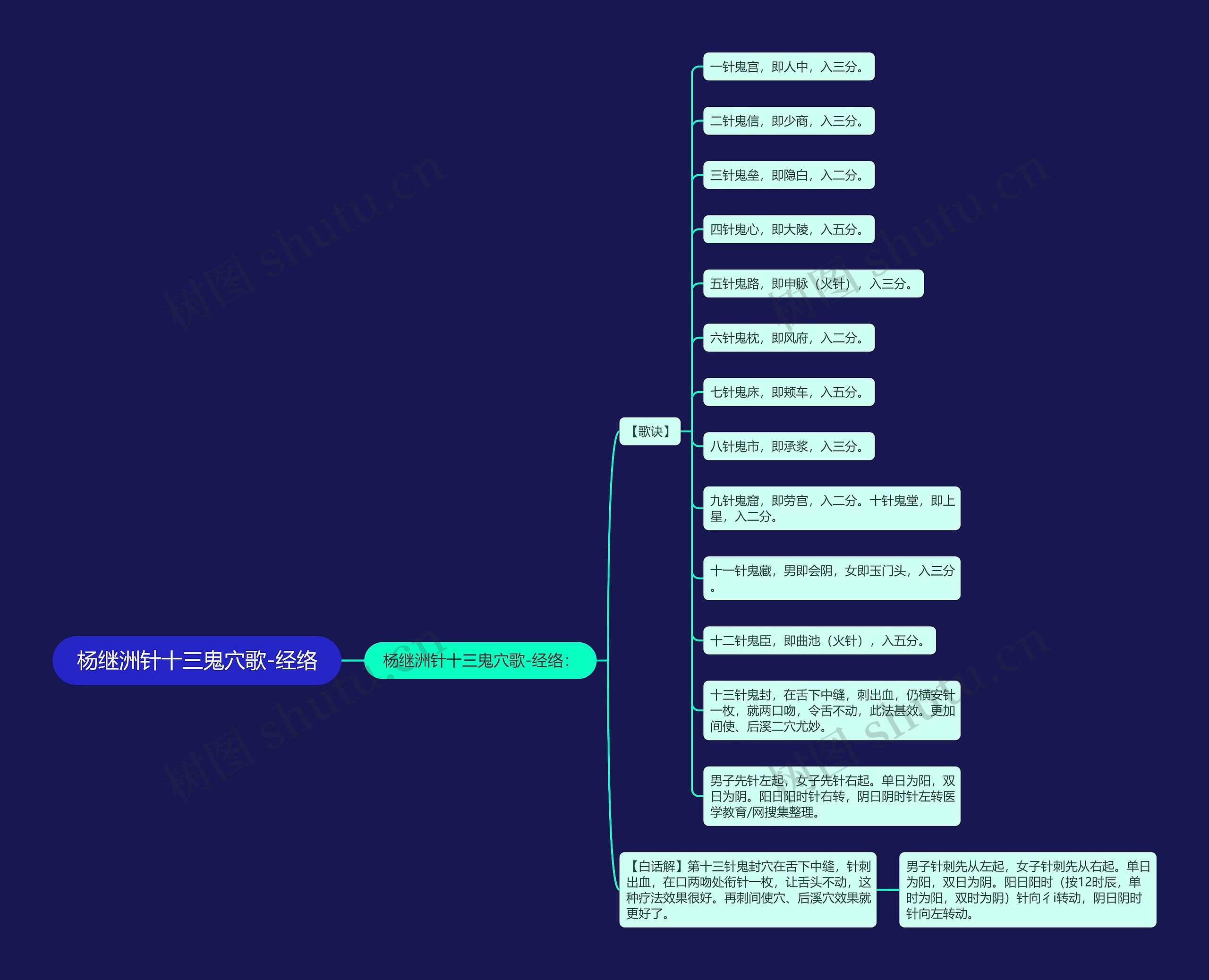 杨继洲针十三鬼穴歌-经络思维导图