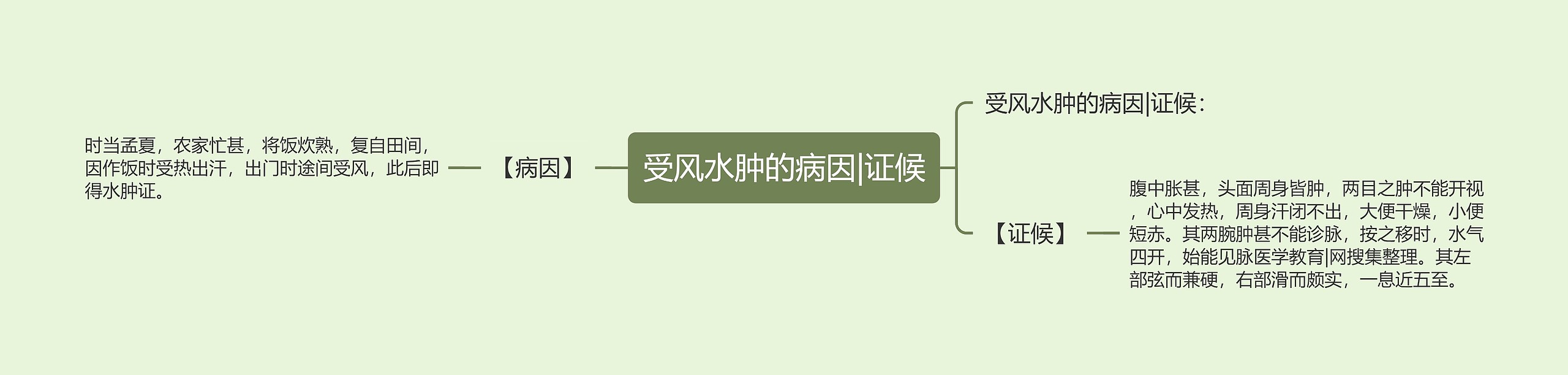 受风水肿的病因|证候思维导图