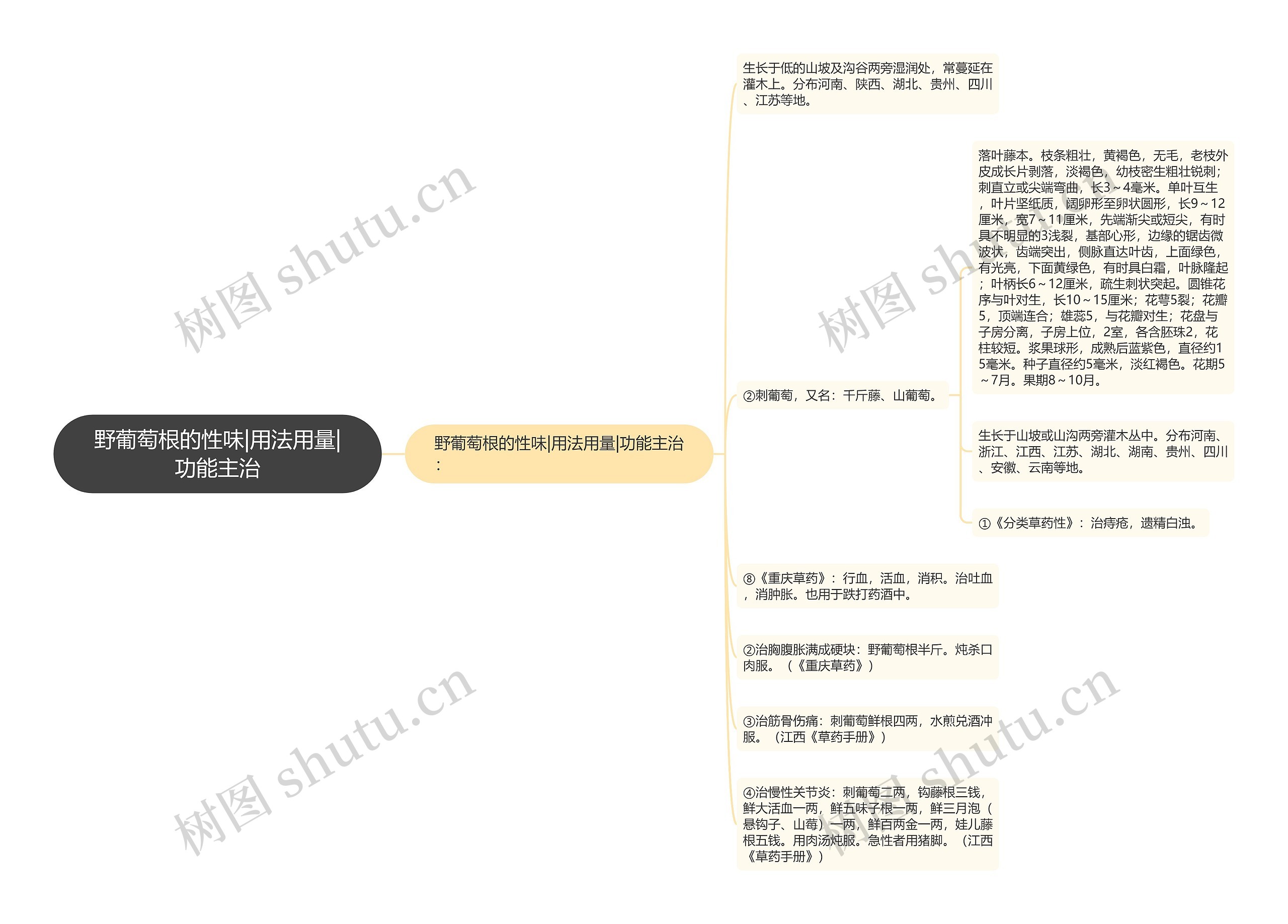 野葡萄根的性味|用法用量|功能主治 野葡萄根的性味|用法用量|功能主治