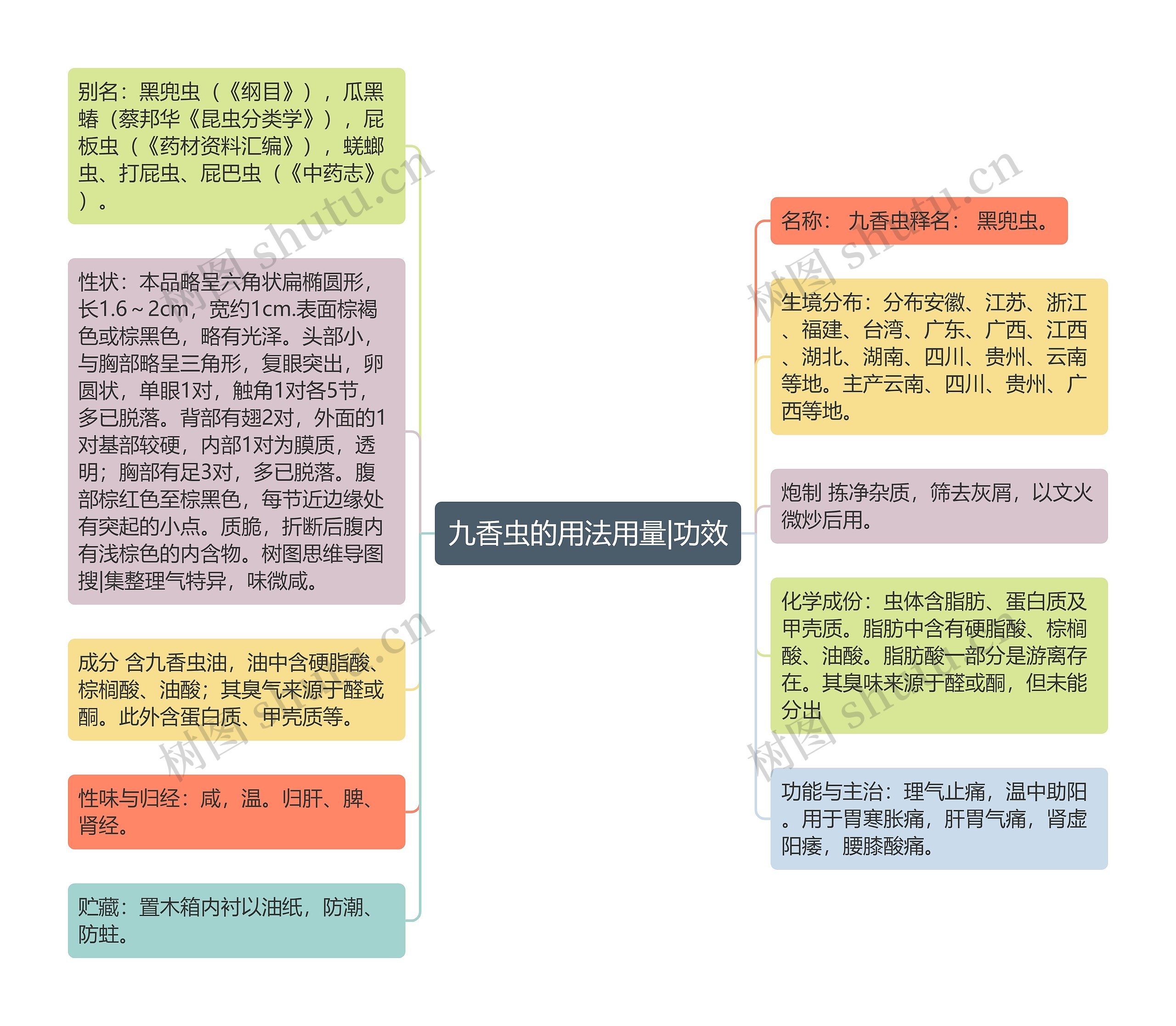 九香虫的用法用量|功效思维导图