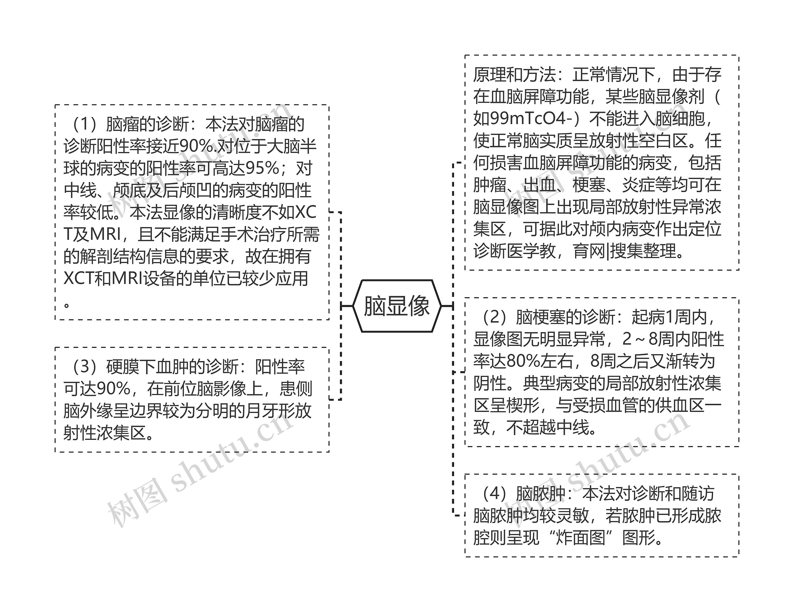 脑显像思维导图
