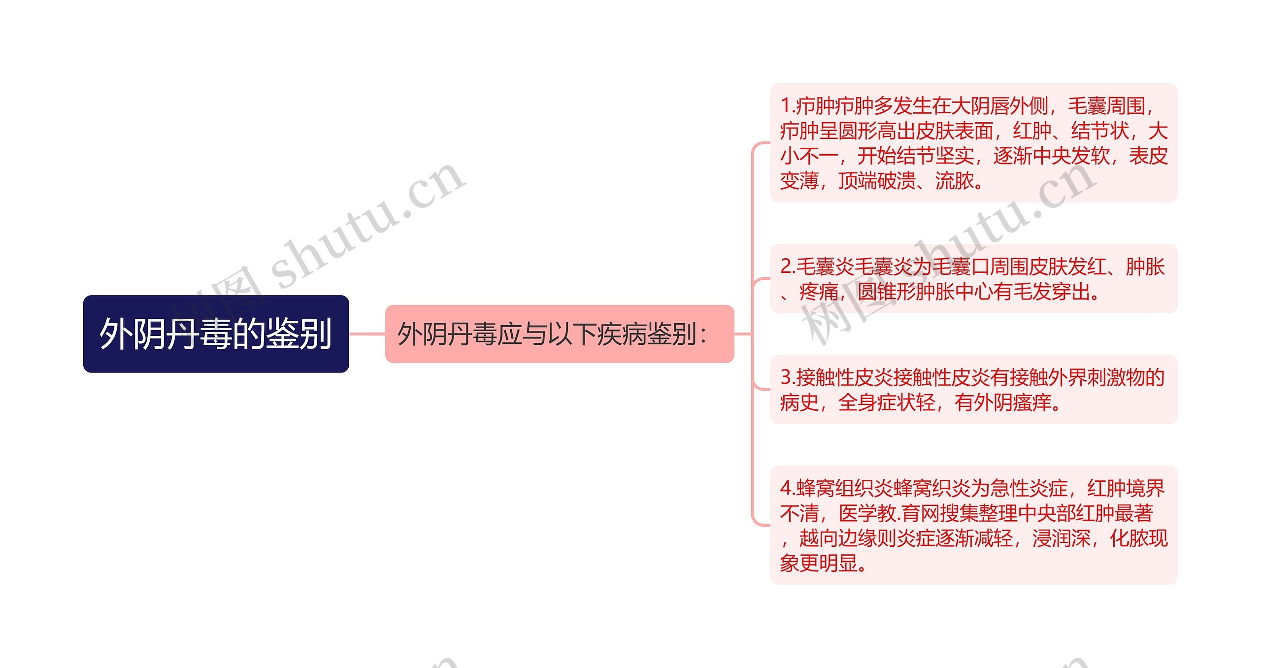 外阴丹毒的鉴别思维导图