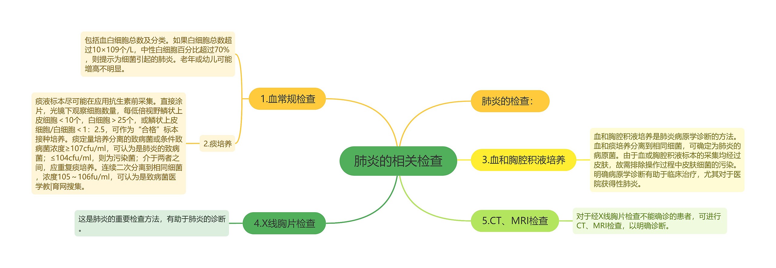 肺炎的相关检查