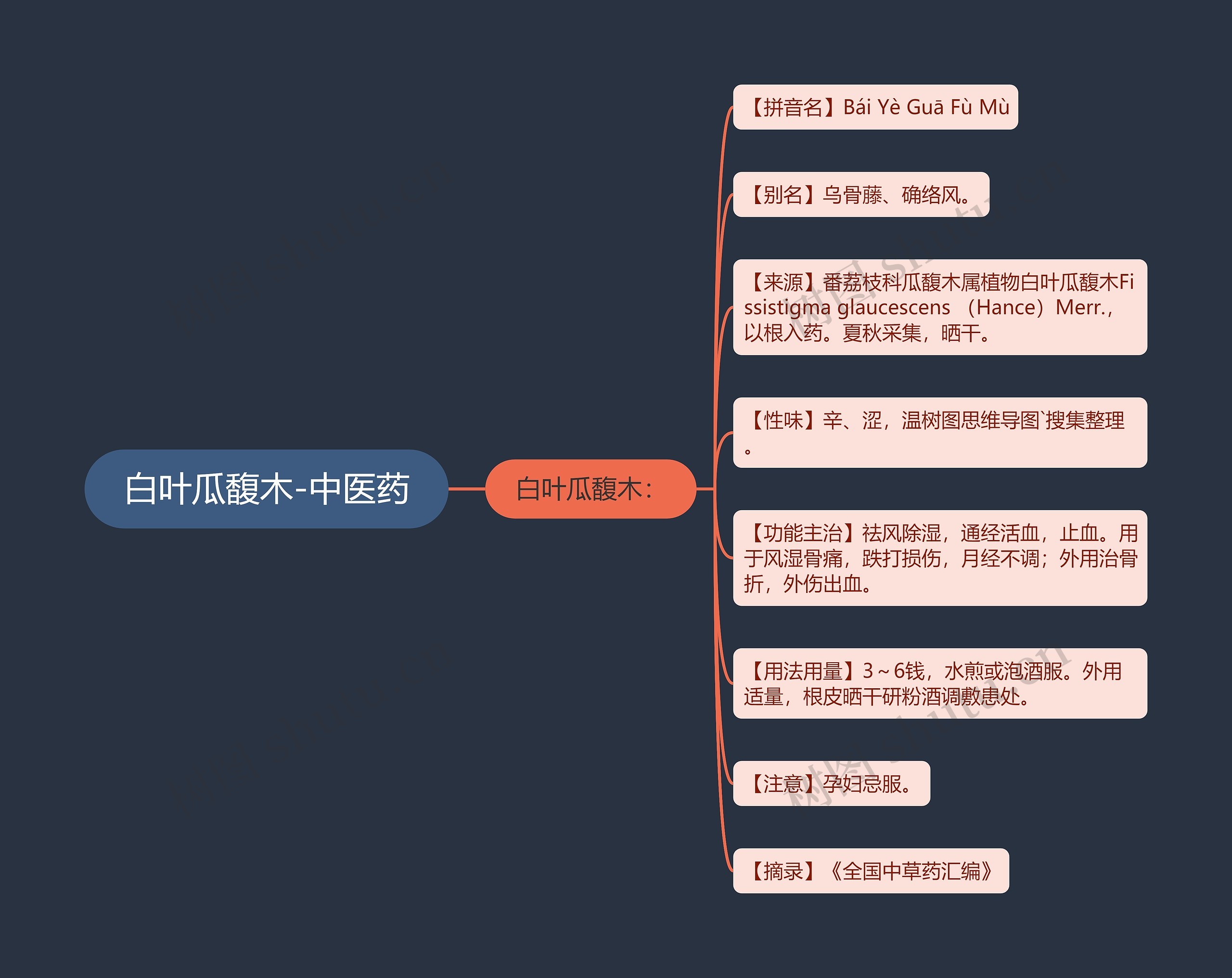 白叶瓜馥木-中医药思维导图