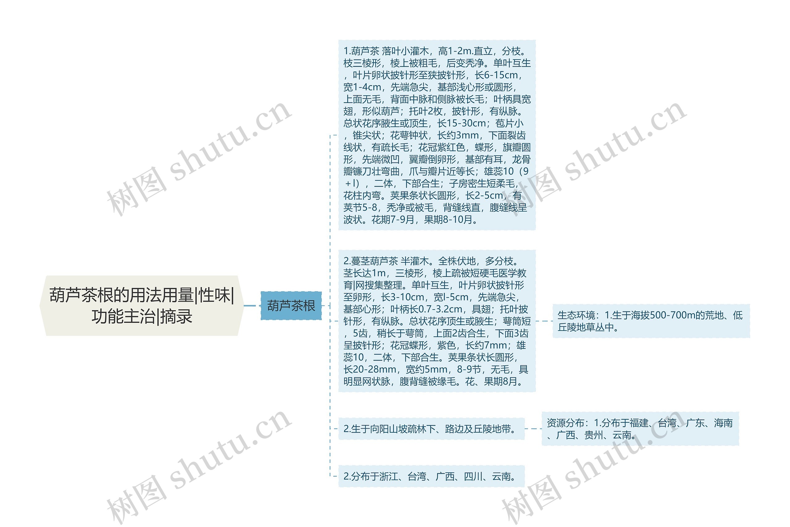 葫芦茶根的用法用量|性味|功能主治|摘录思维导图