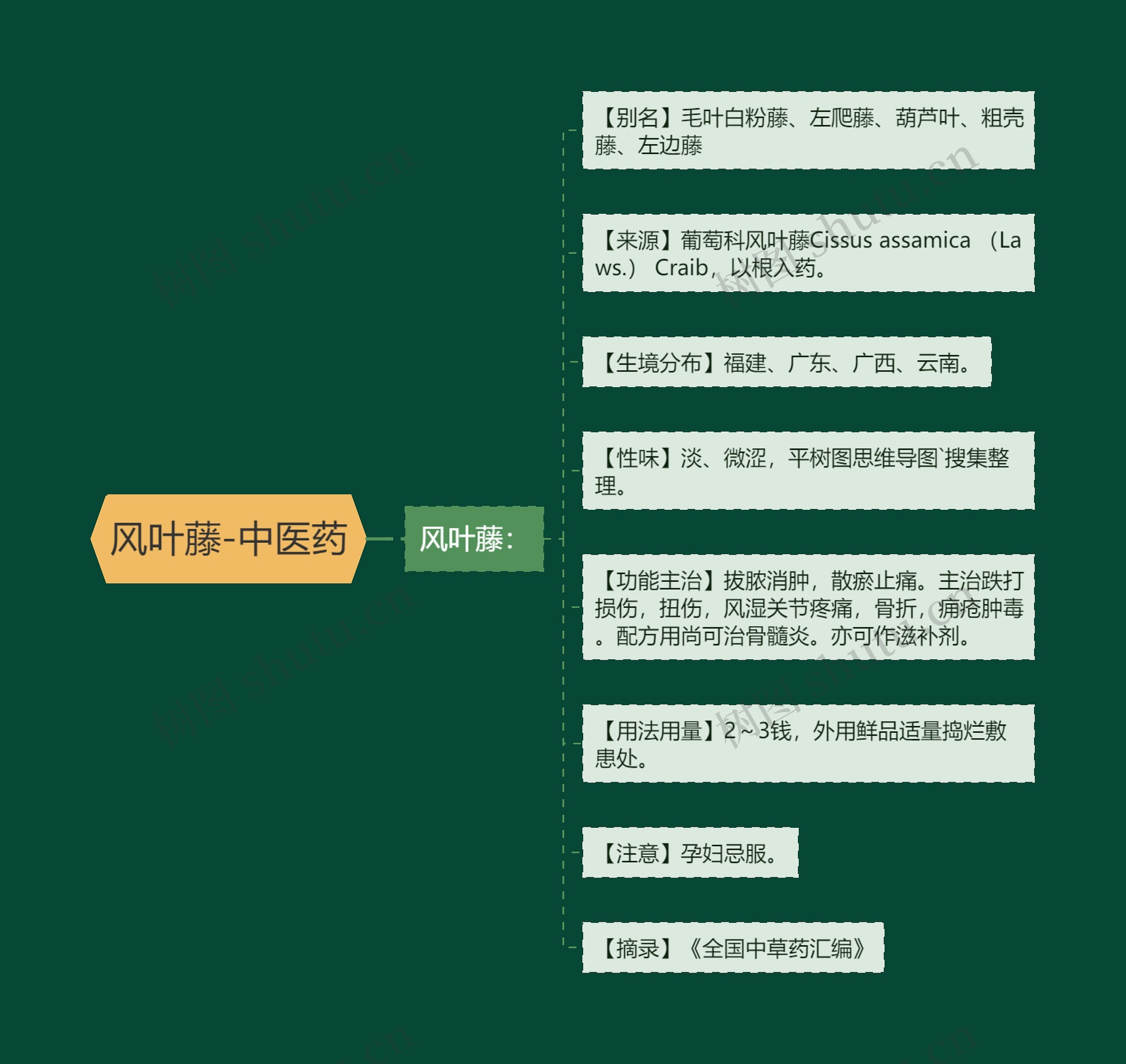 风叶藤-中医药 风叶藤-中医药