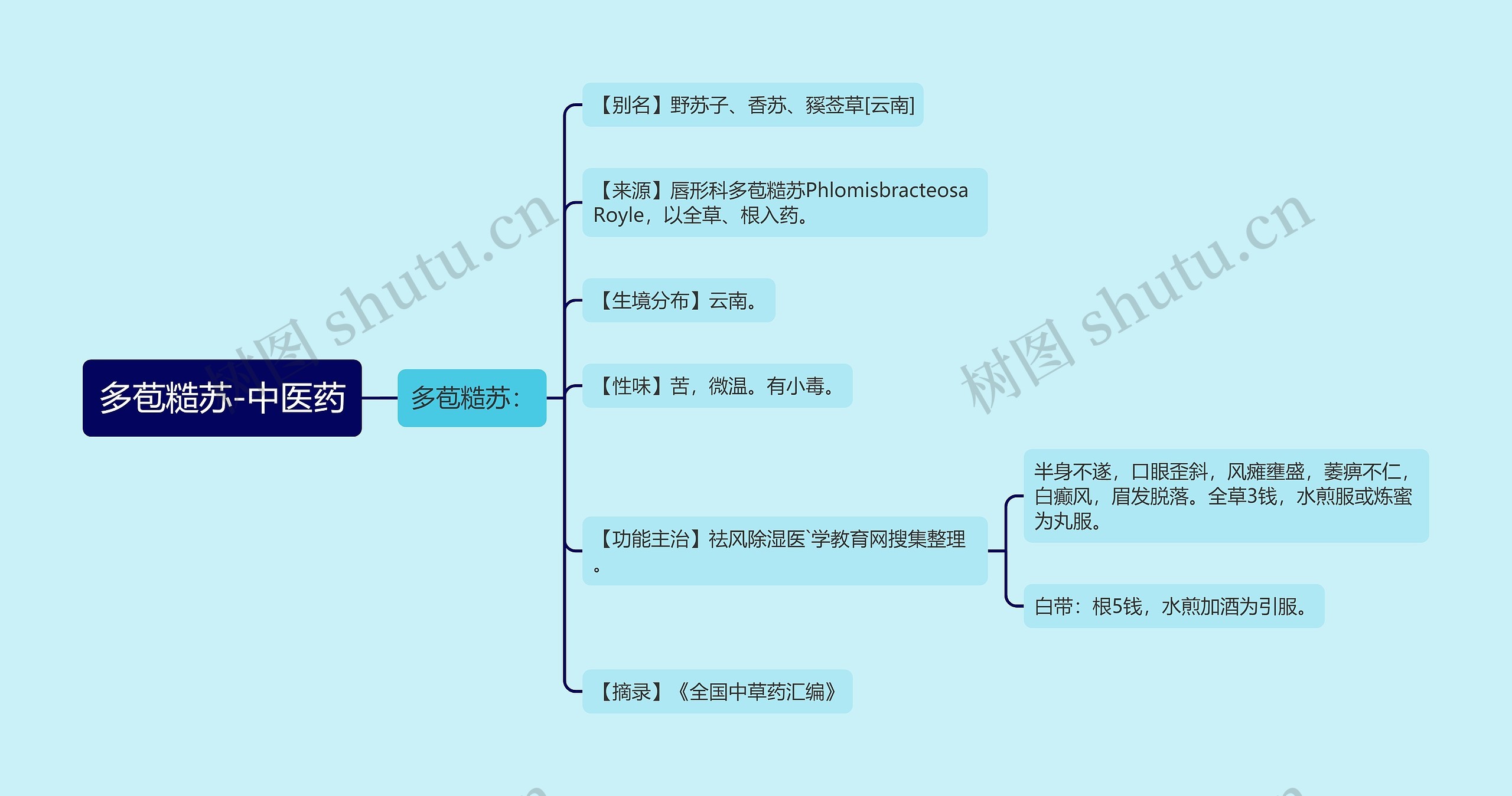 多苞糙苏-中医药 多苞糙苏-中医药