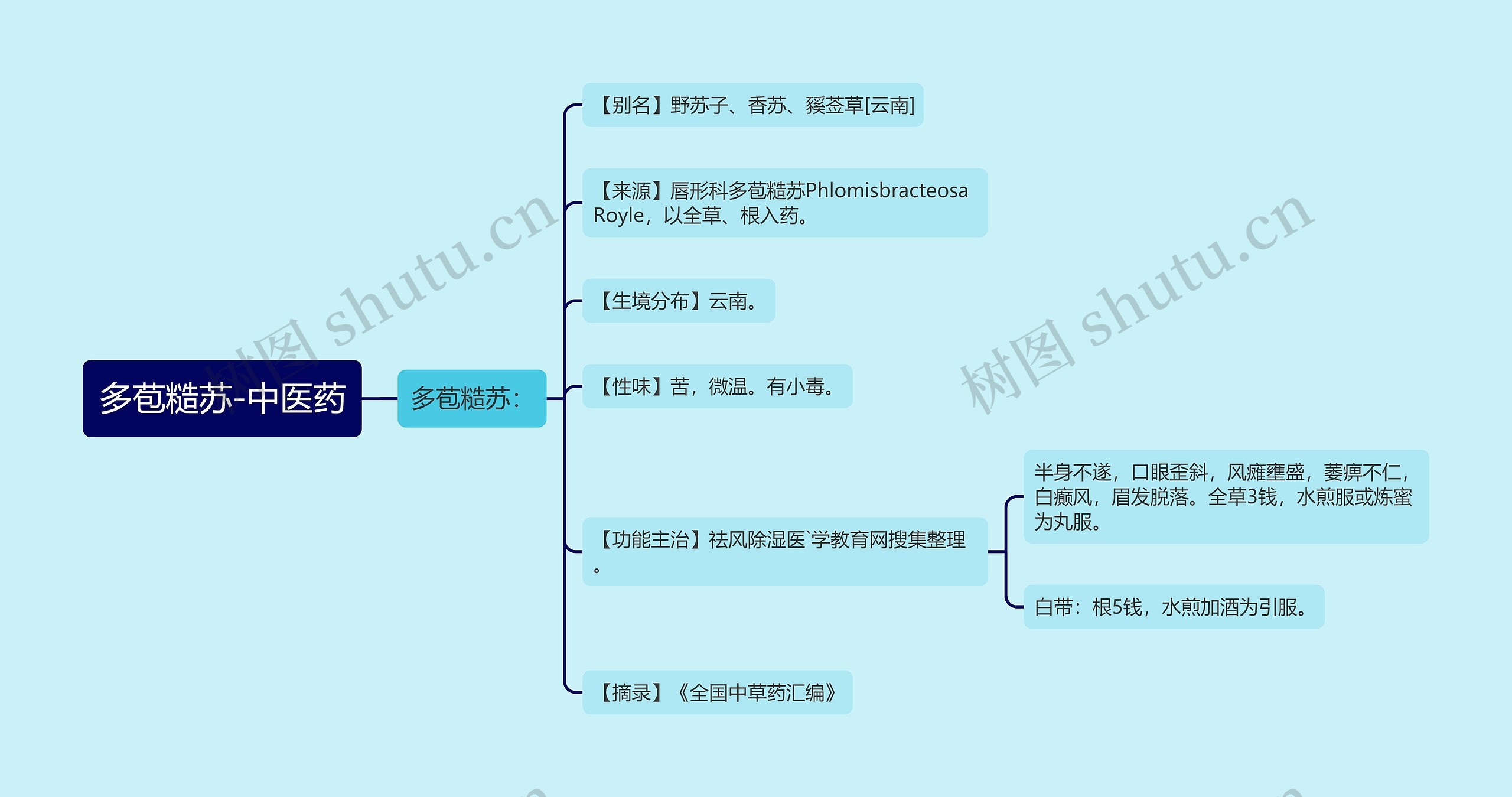 多苞糙苏-中医药思维导图