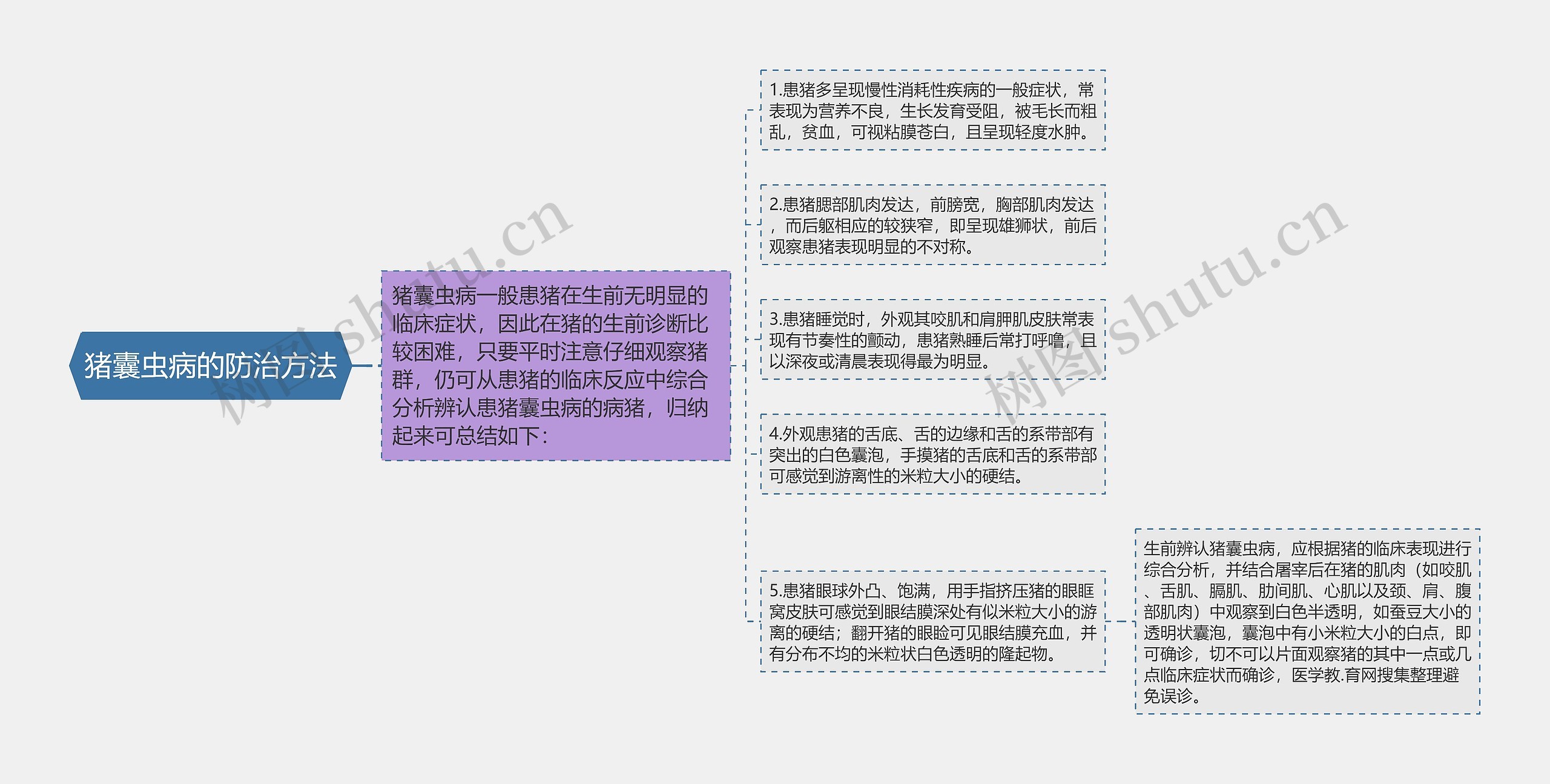 猪囊虫病的防治方法