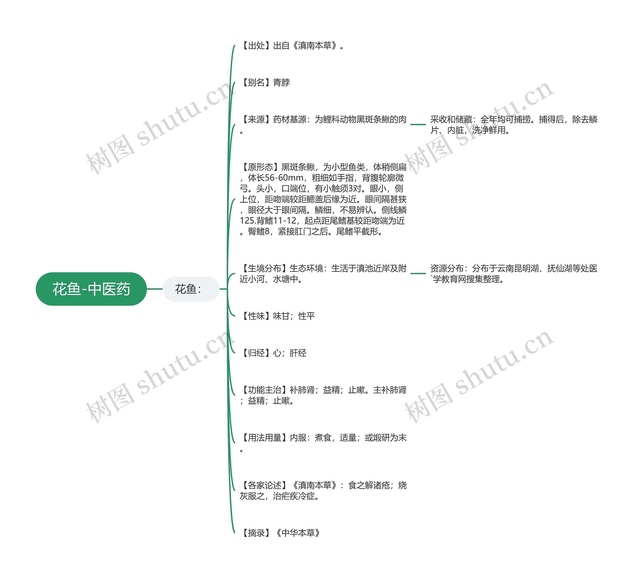 花鱼-中医药 花鱼-中医药