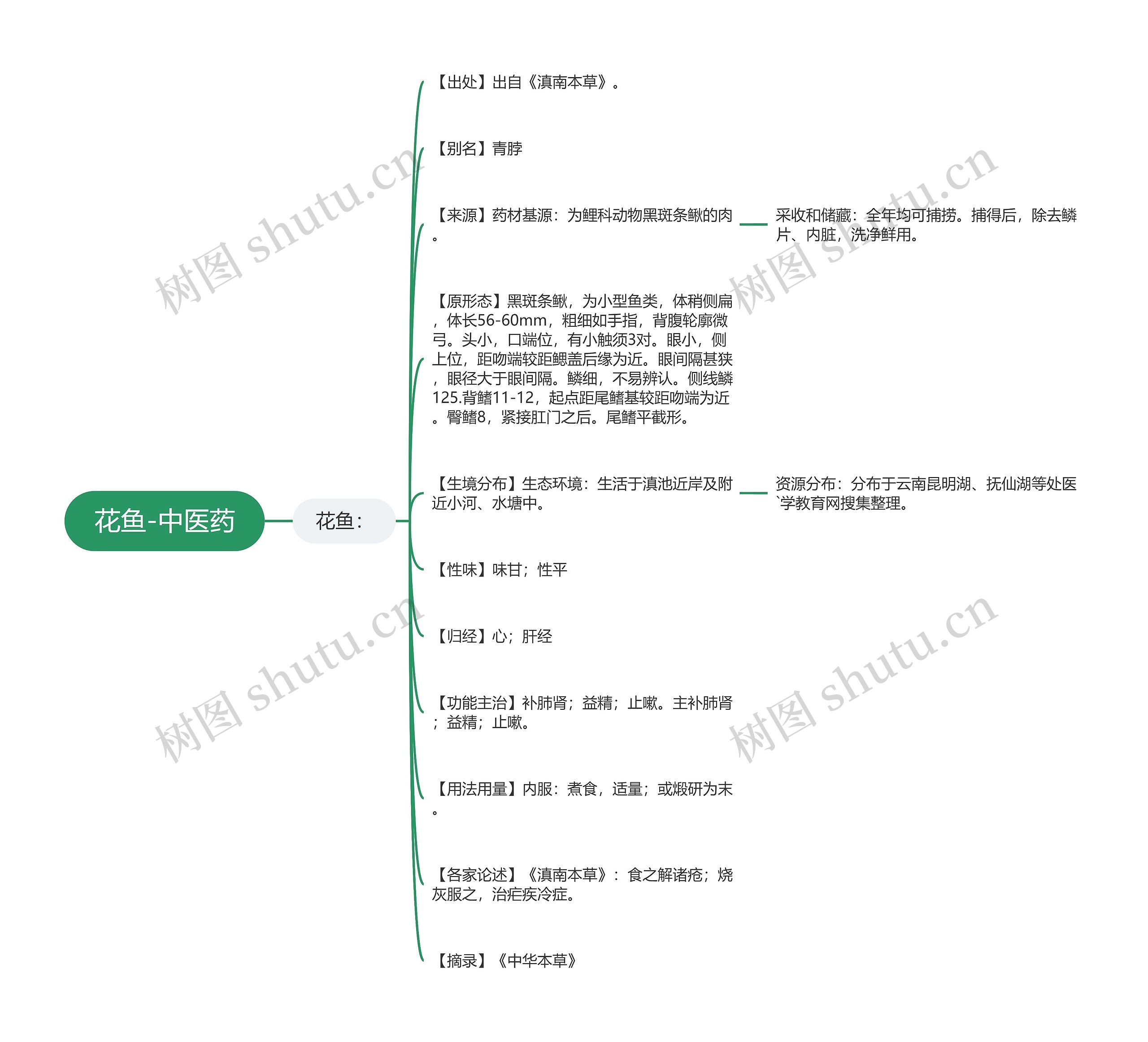 花鱼-中医药