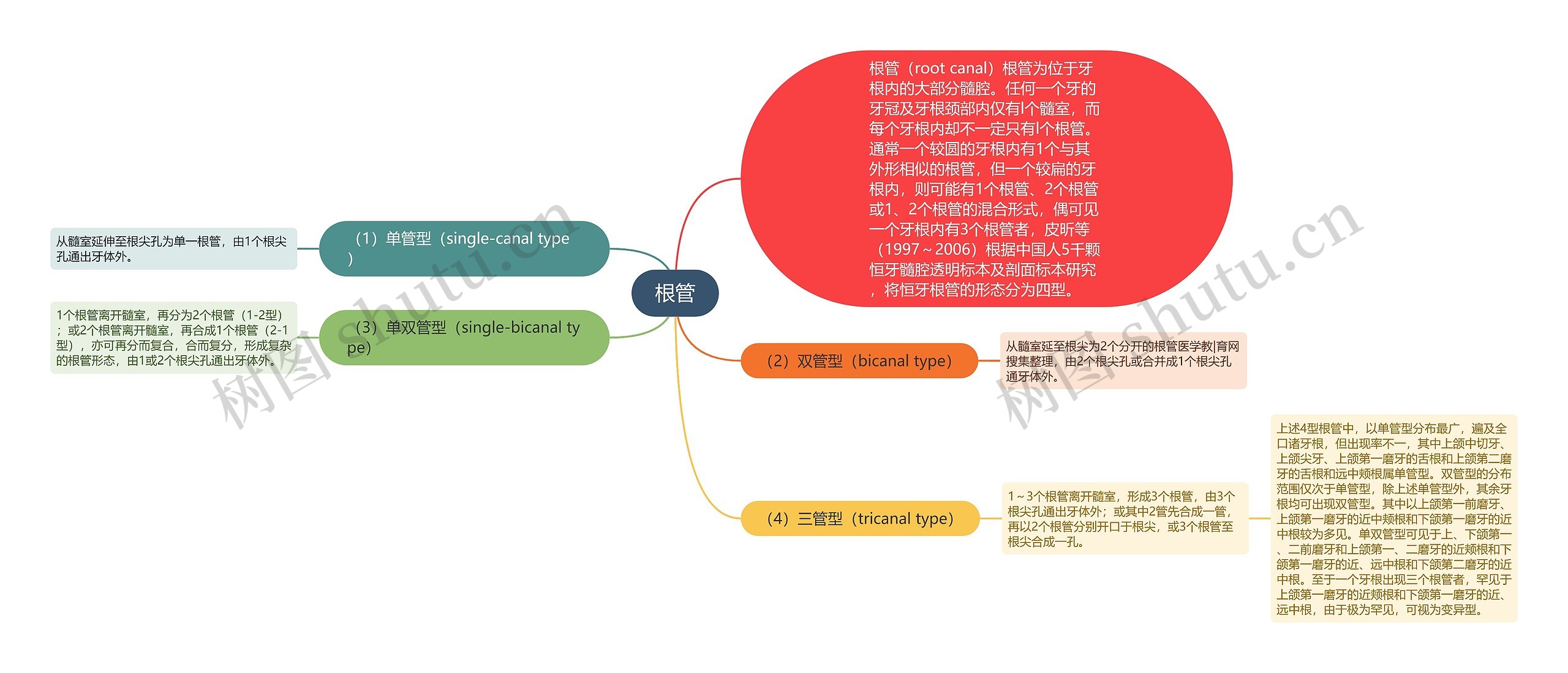 根管思维导图