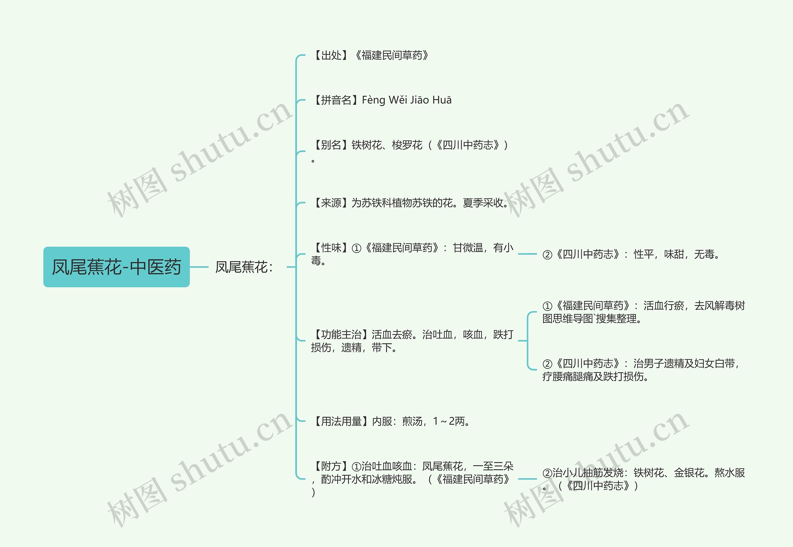 凤尾蕉花-中医药思维导图