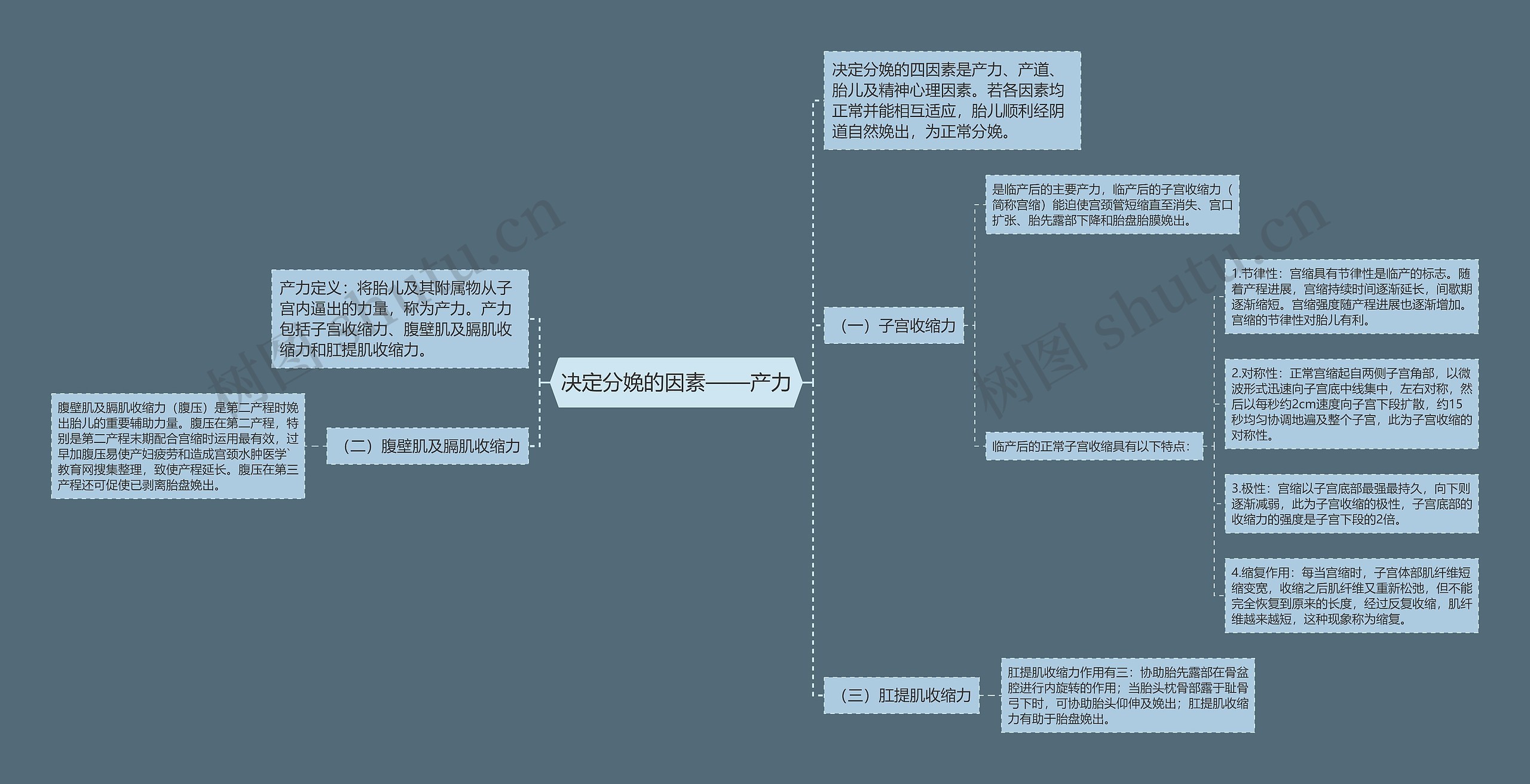 决定分娩的因素——产力