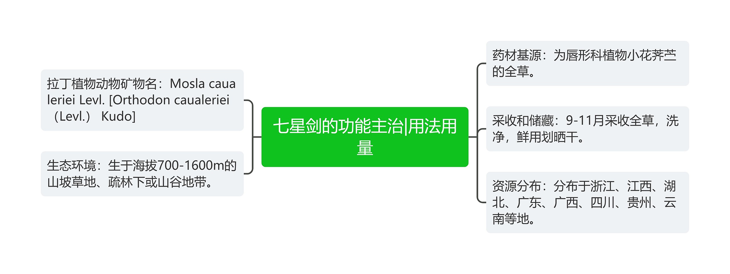 七星剑的功能主治|用法用量思维导图