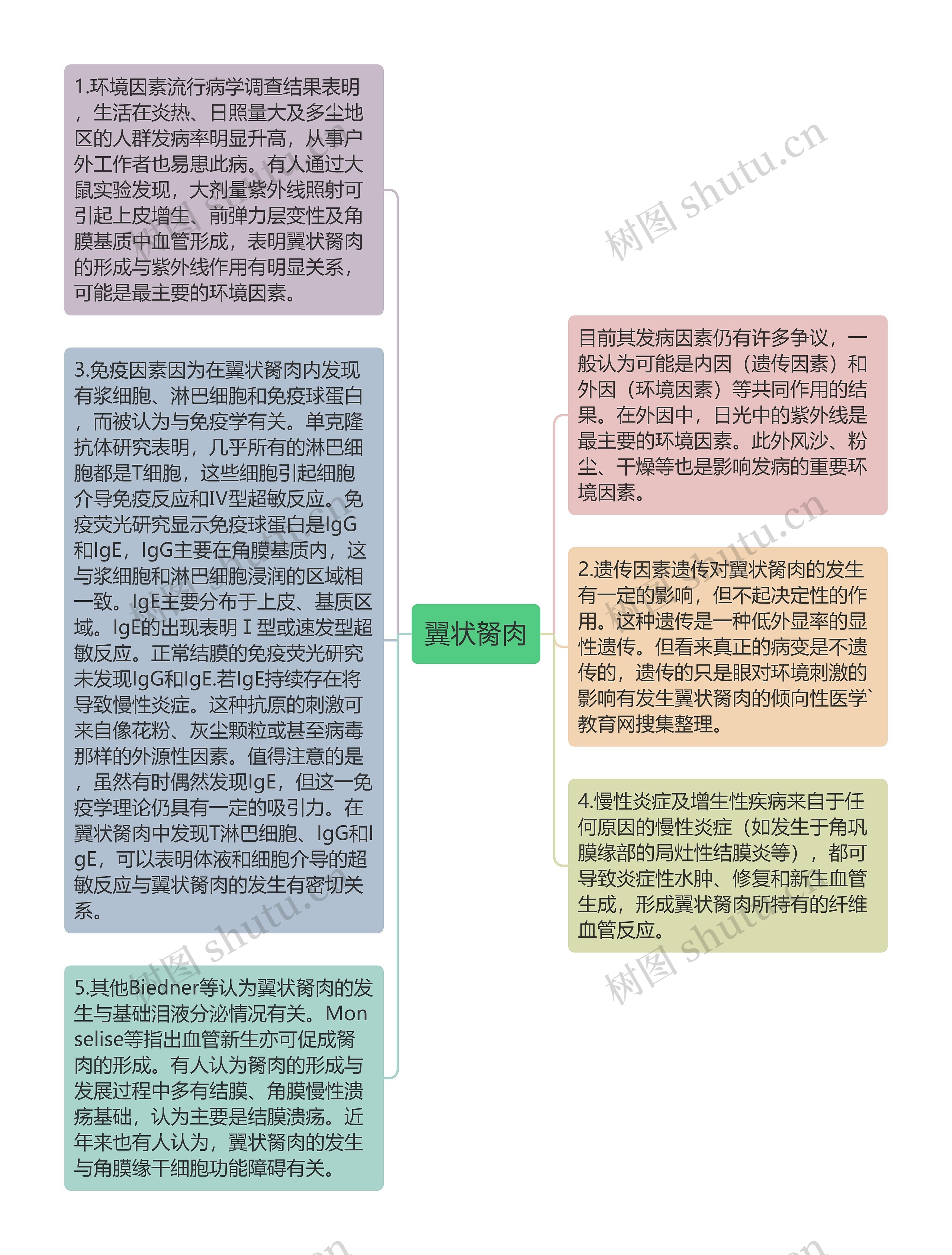 翼状胬肉思维导图