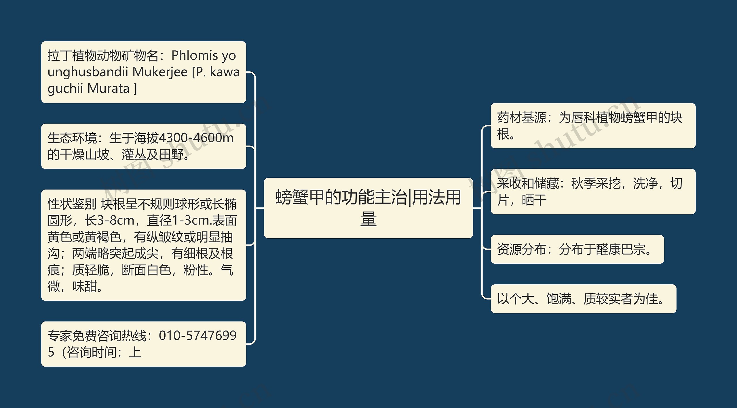 螃蟹甲的功能主治|用法用量思维导图