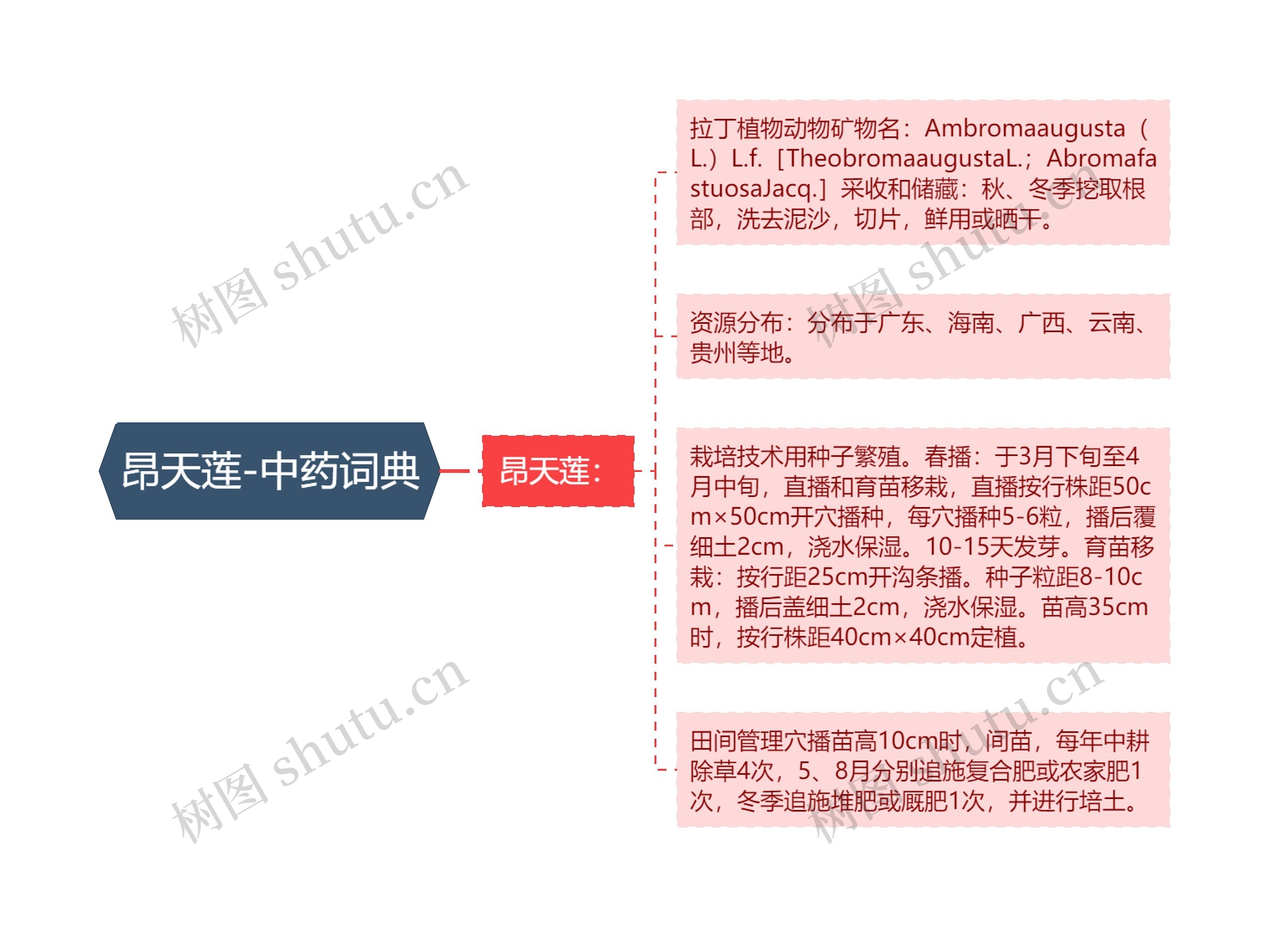 昂天莲-中药词典 昂天莲-中药词典