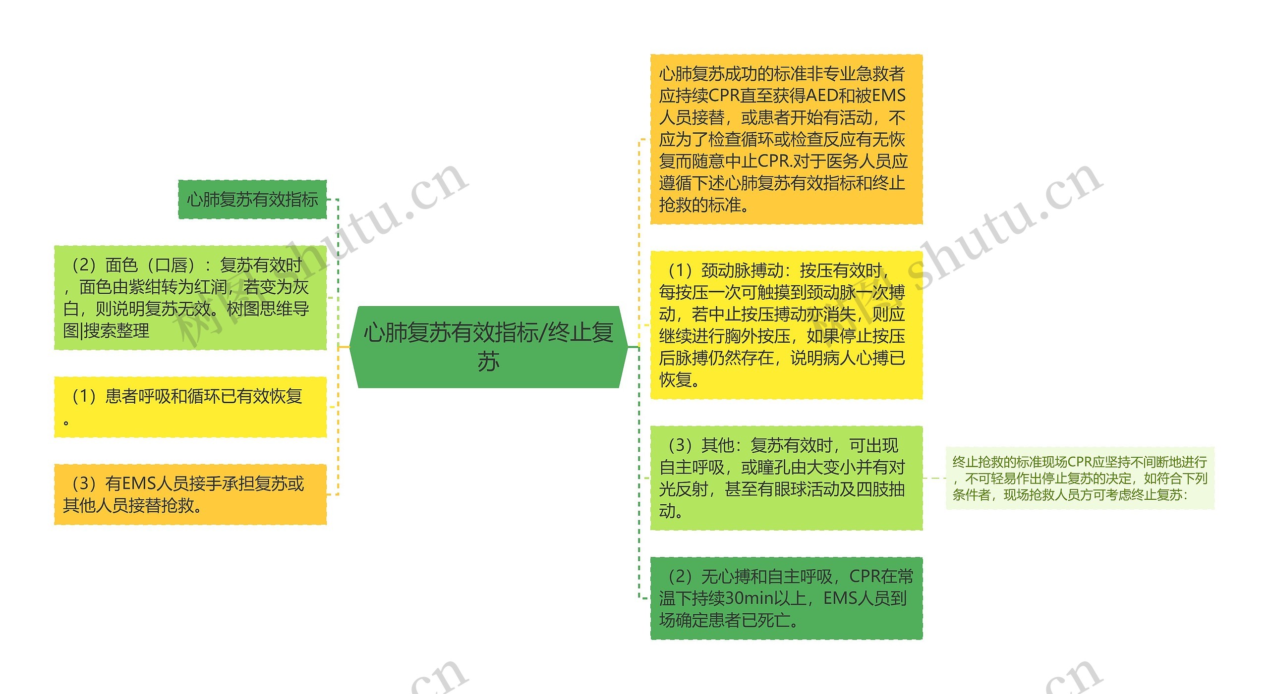 心肺复苏有效指标/终止复苏