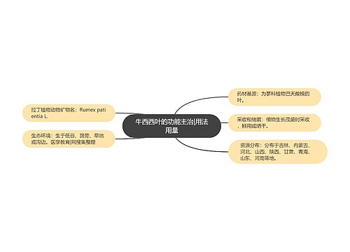 牛西西叶的功能主治|用法用量