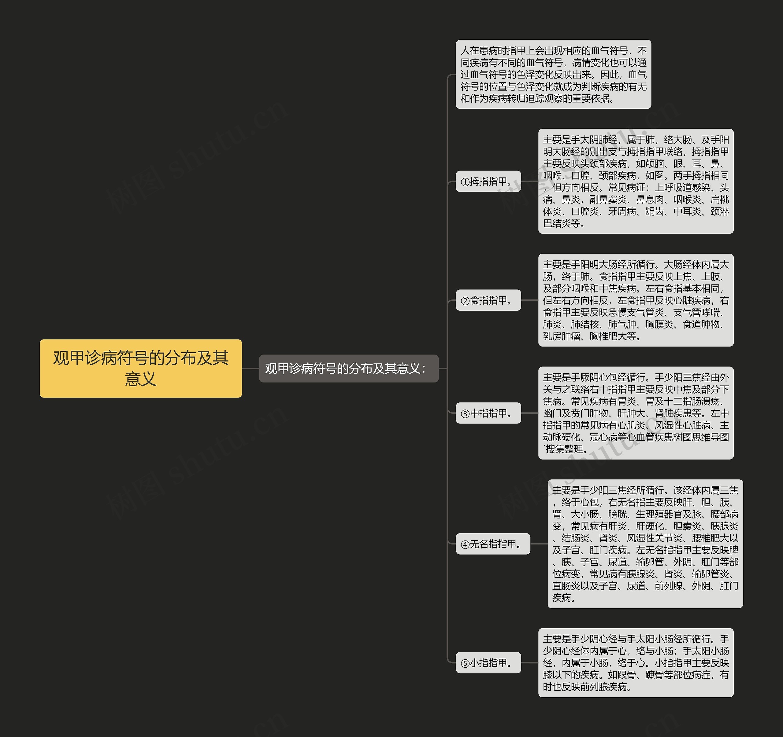 观甲诊病符号的分布及其意义思维导图