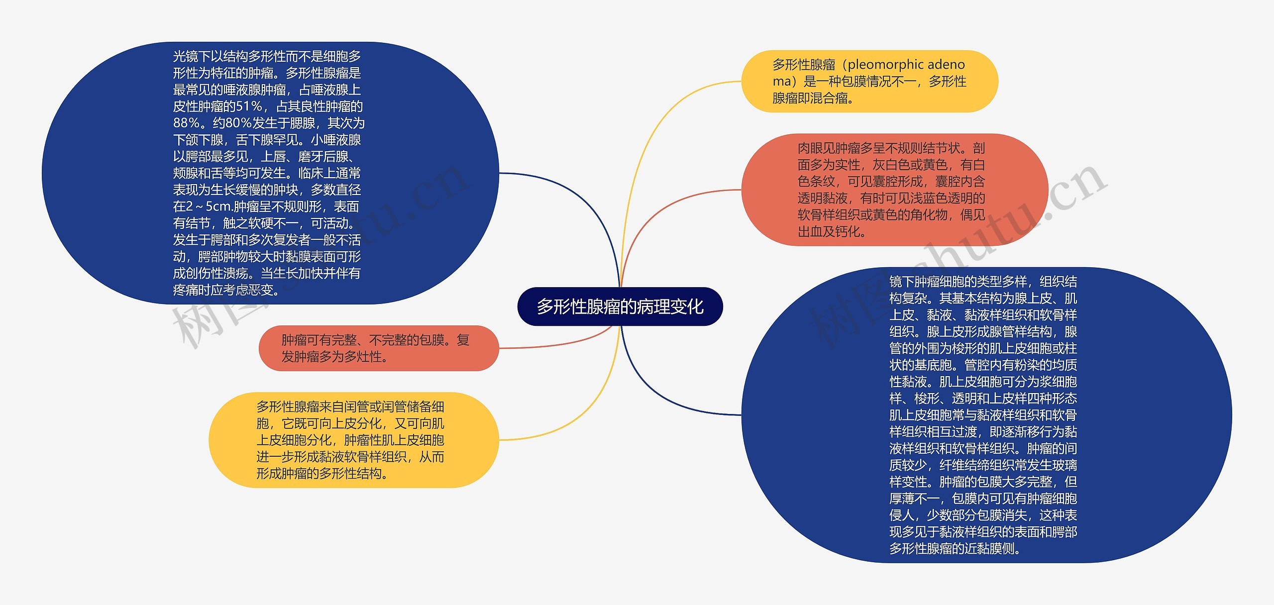 多形性腺瘤的病理变化