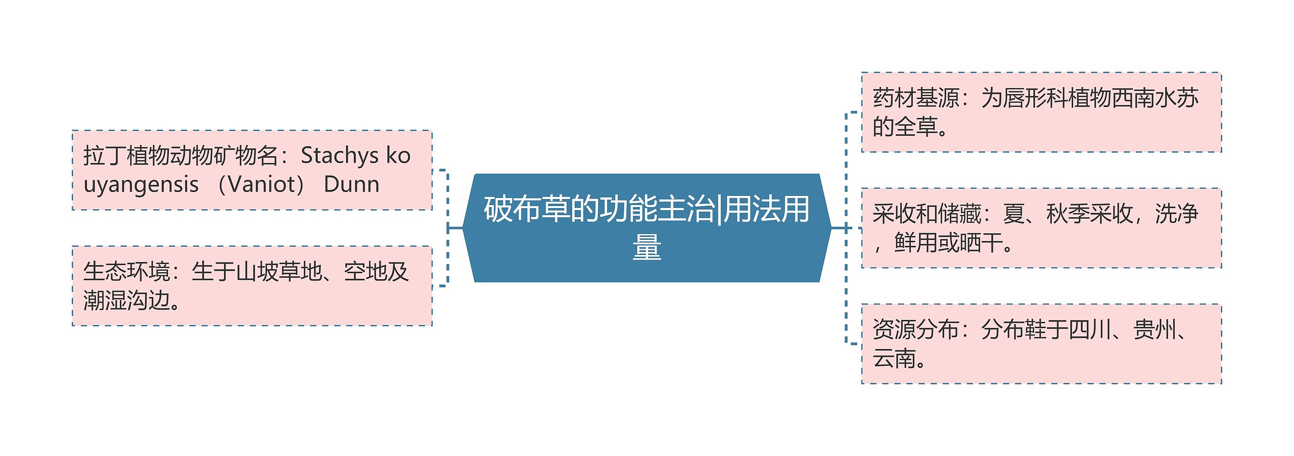 破布草的功能主治|用法用量 破布草的功能主治|用法用量