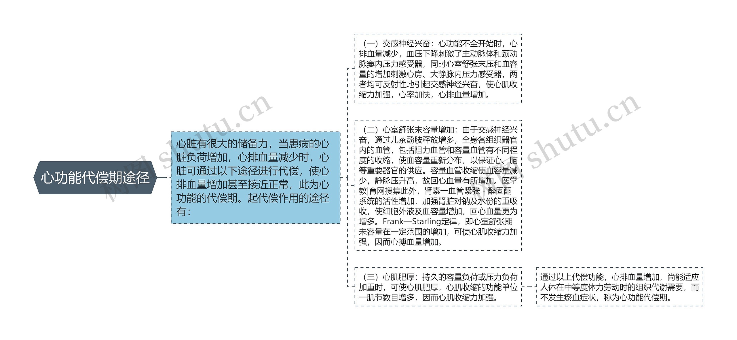 心功能代偿期途径思维导图