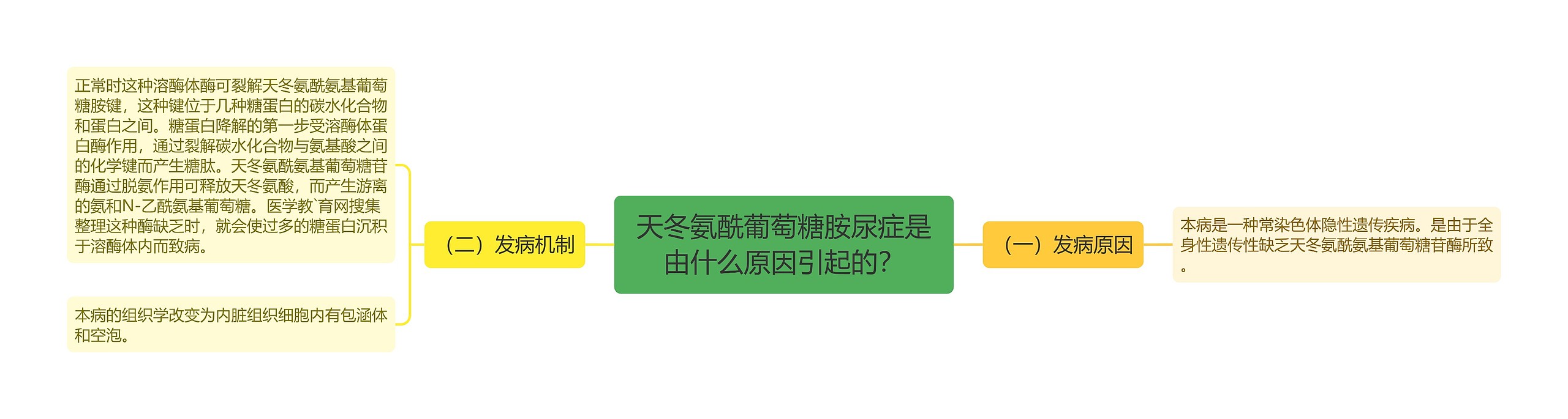 天冬氨酰葡萄糖胺尿症是由什么原因引起的？思维导图