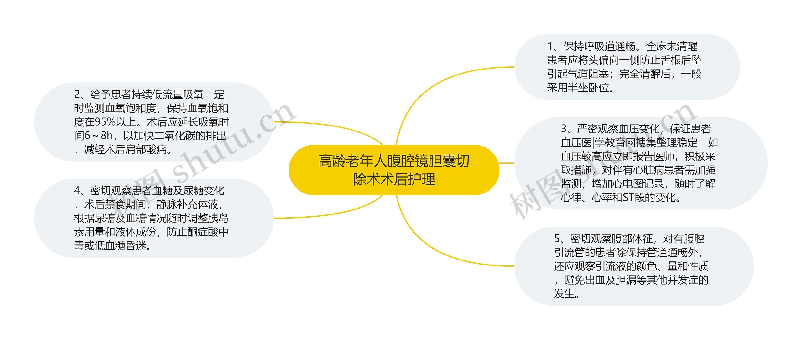 高龄老年人腹腔镜胆囊切除术术后护理思维导图