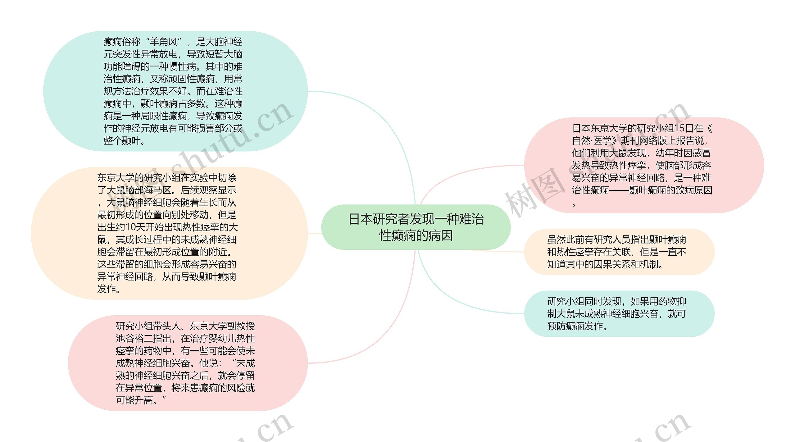 日本研究者发现一种难治性癫痫的病因