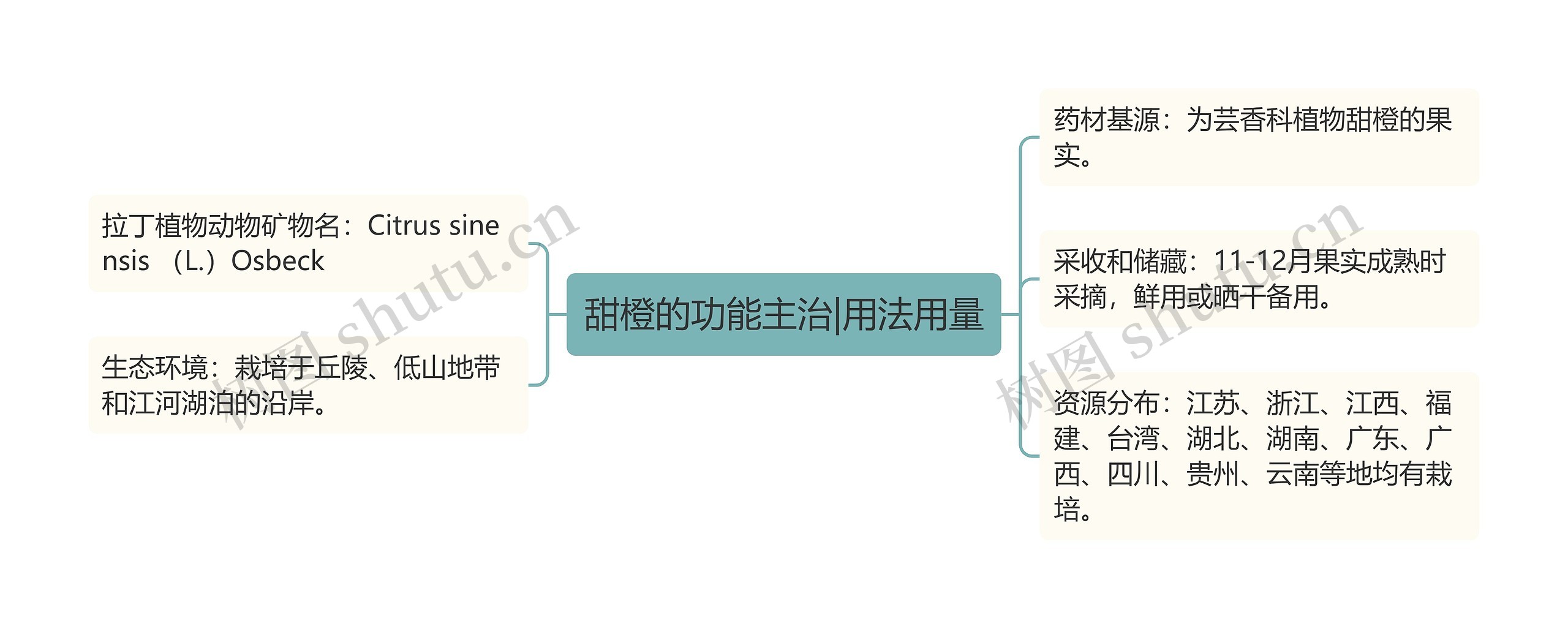 甜橙的功能主治|用法用量思维导图