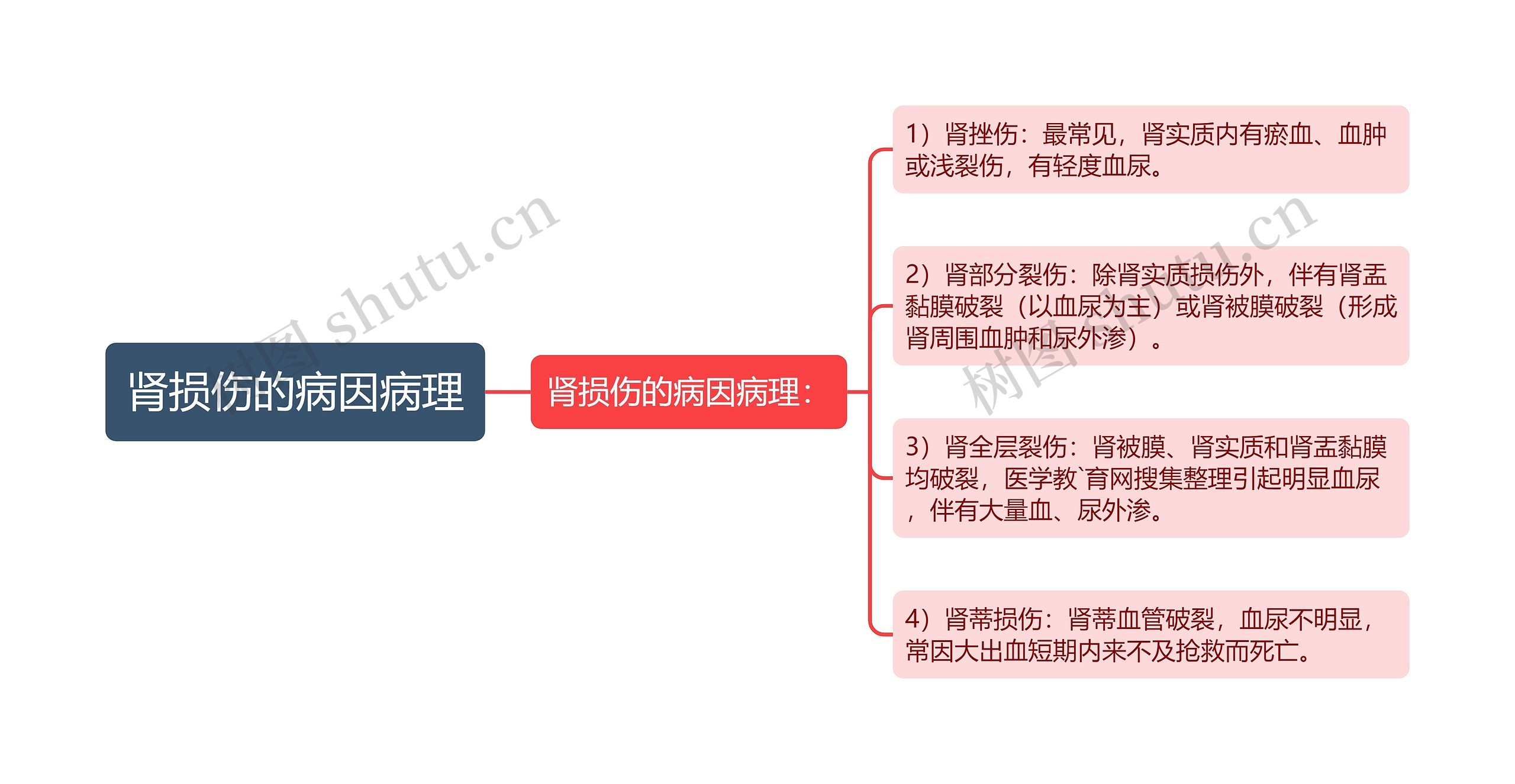 肾损伤的病因病理思维导图