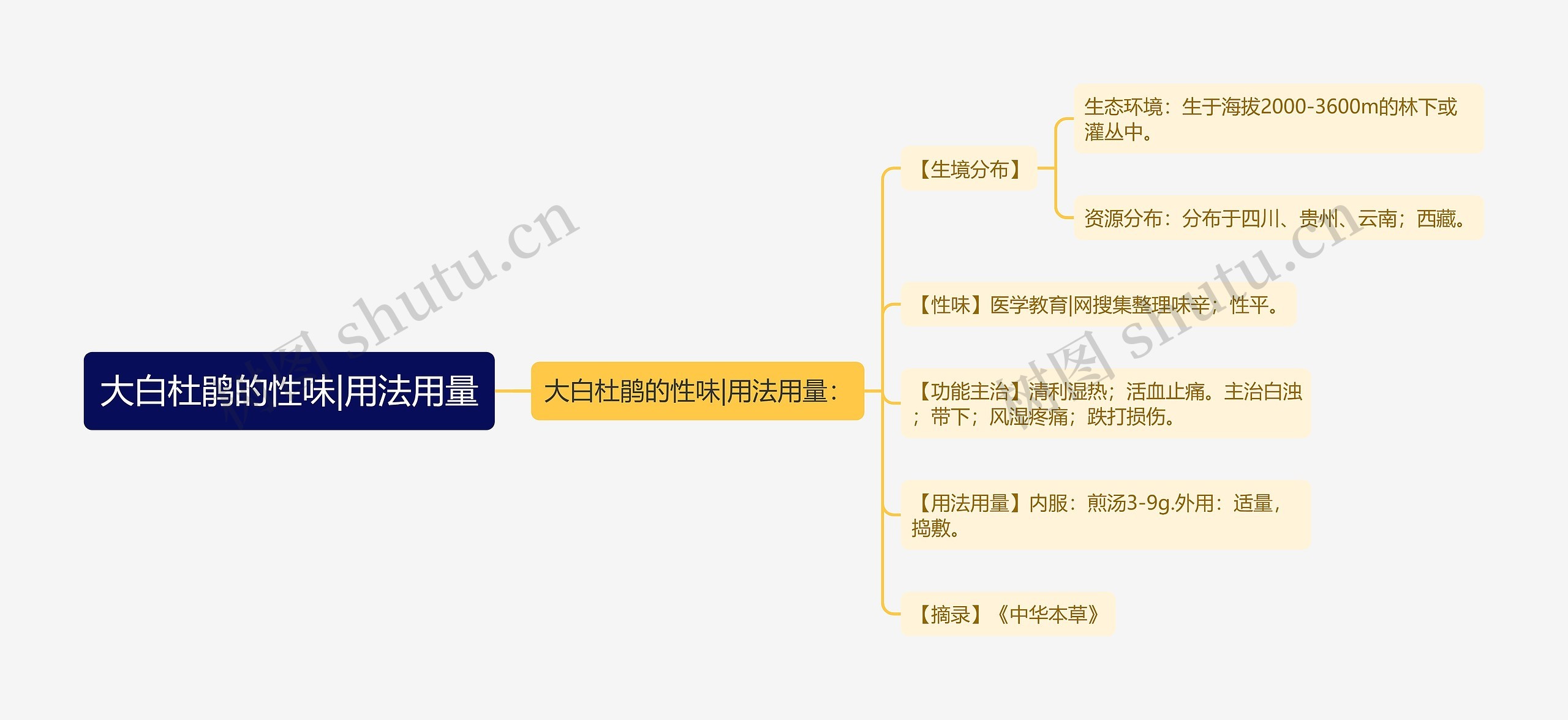 大白杜鹃的性味|用法用量