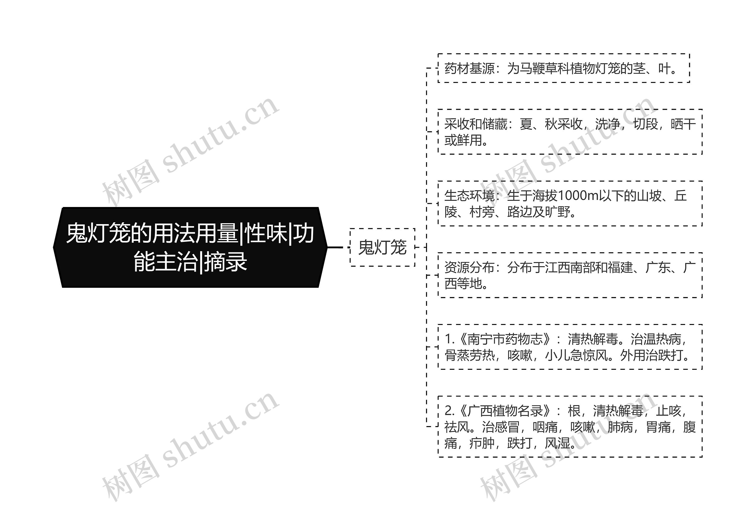 鬼灯笼的用法用量|性味|功能主治|摘录思维导图