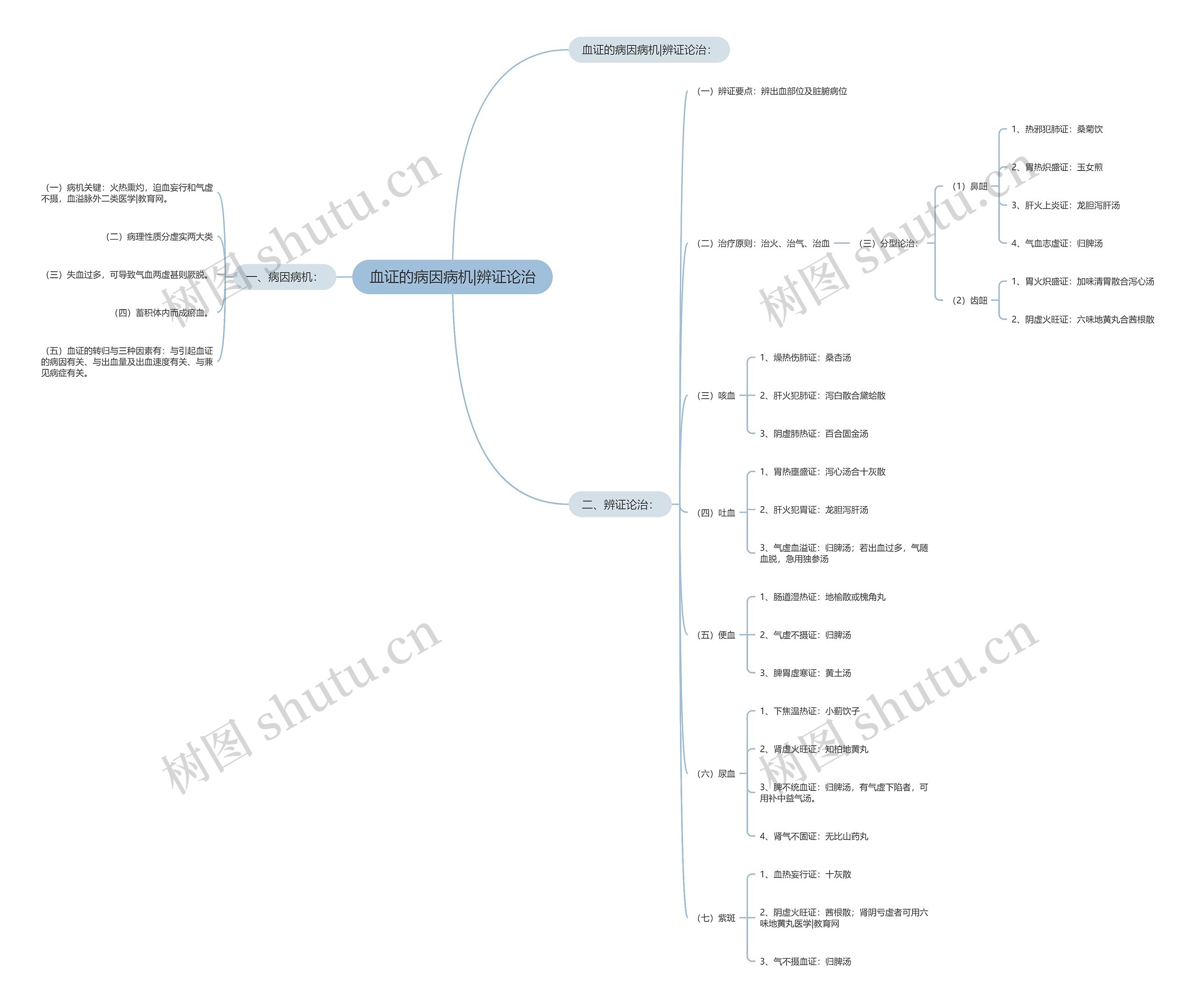 血证的病因病机|辨证论治思维导图