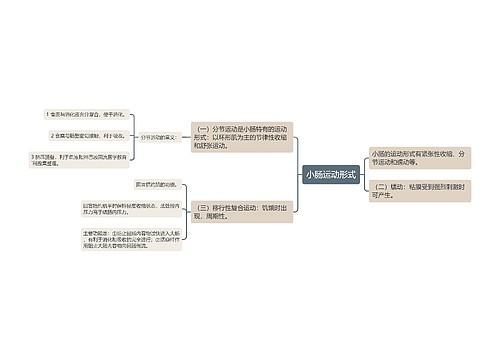 小肠运动形式